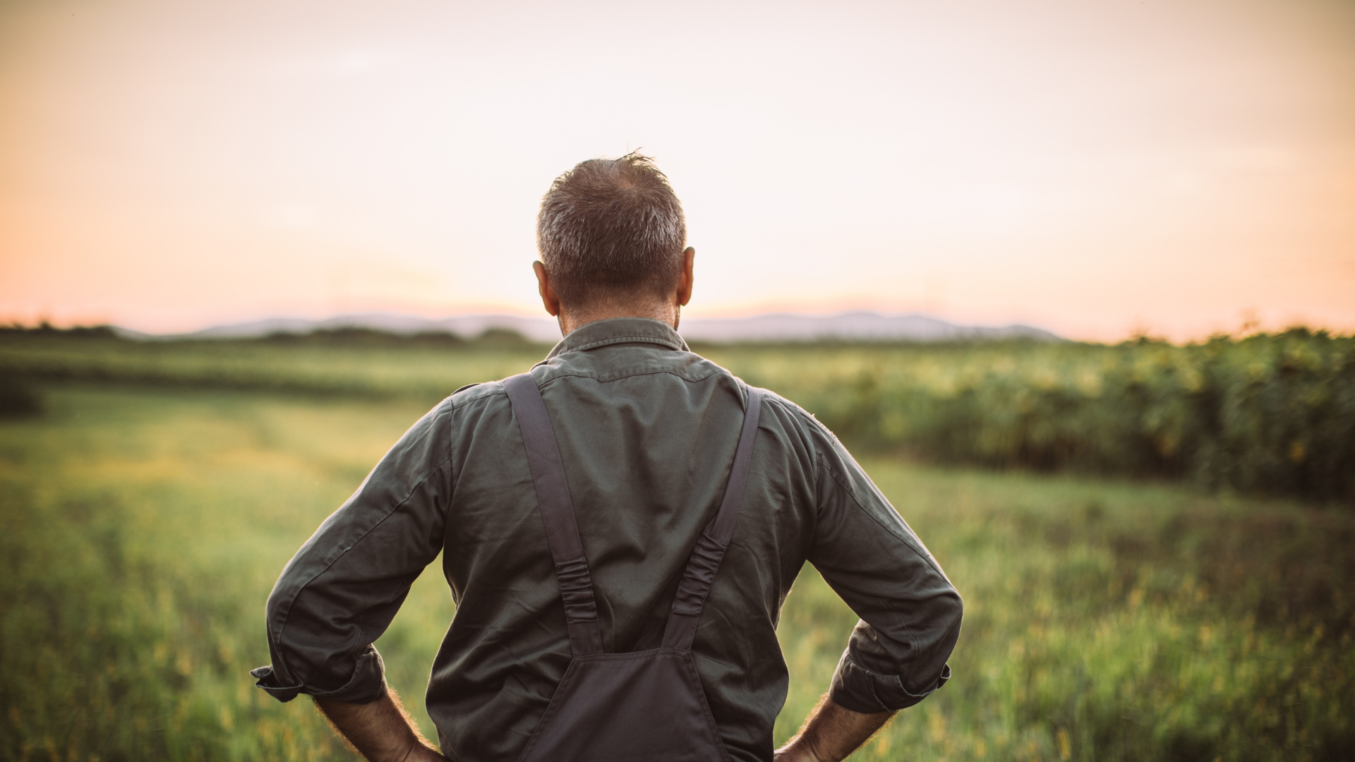 When Is the Right Time for Succession? Determining the right moment for succession is one of the hardest decisions a family business will ever face. 