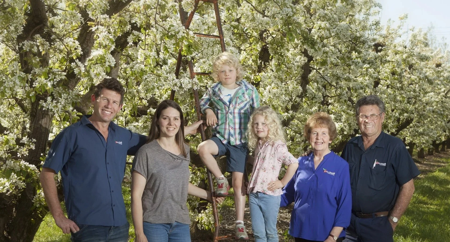 Plunkett Orchards FamilyA group of six people standing in an orchard with blooming white flowers on the trees. They are smiling and posing for the photo, with some resting their hands on a ladder, indicating outdoor activity or family gathering.