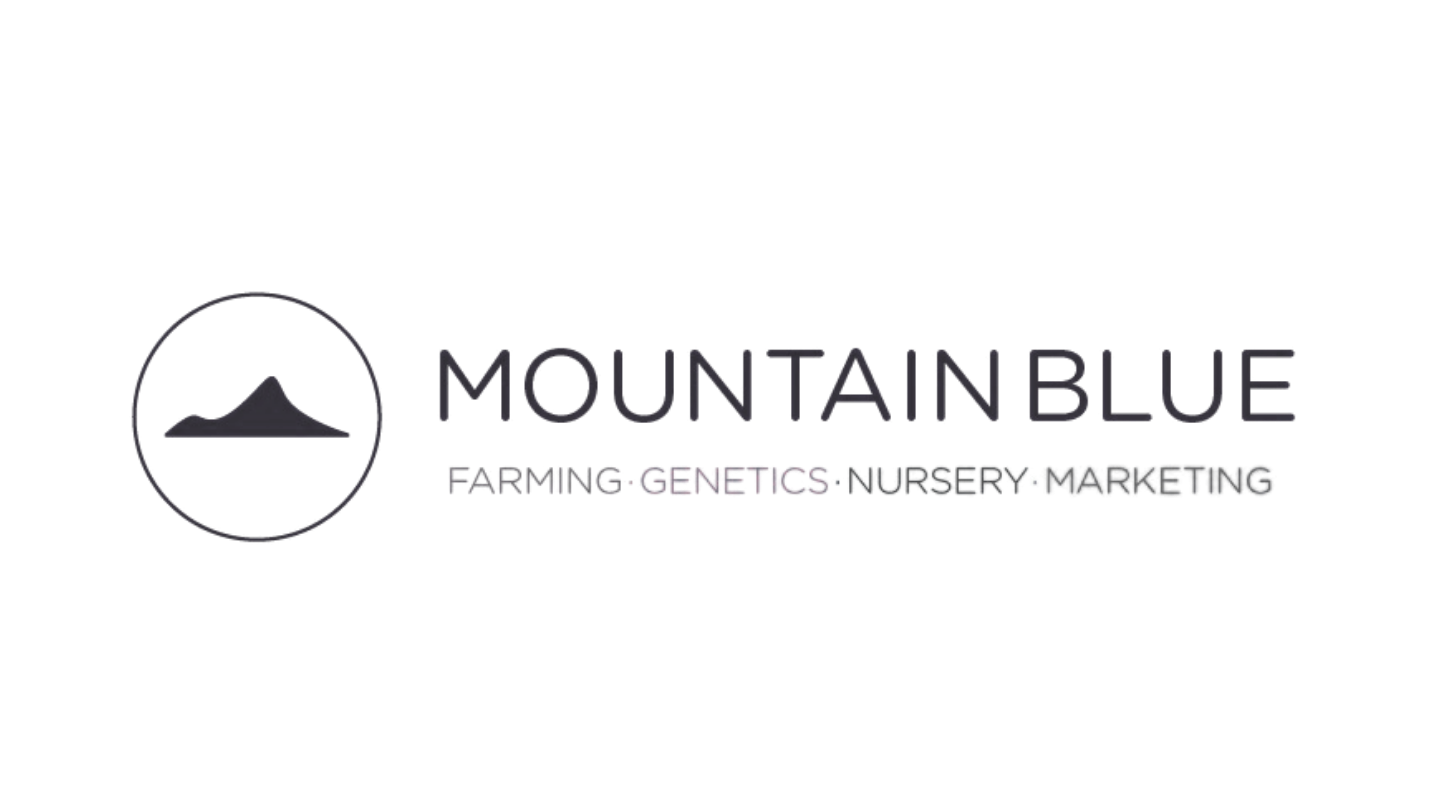Logo for Mountain Blue with a mountain graphic and text listing farming, genetics, nursery, and marketing services.