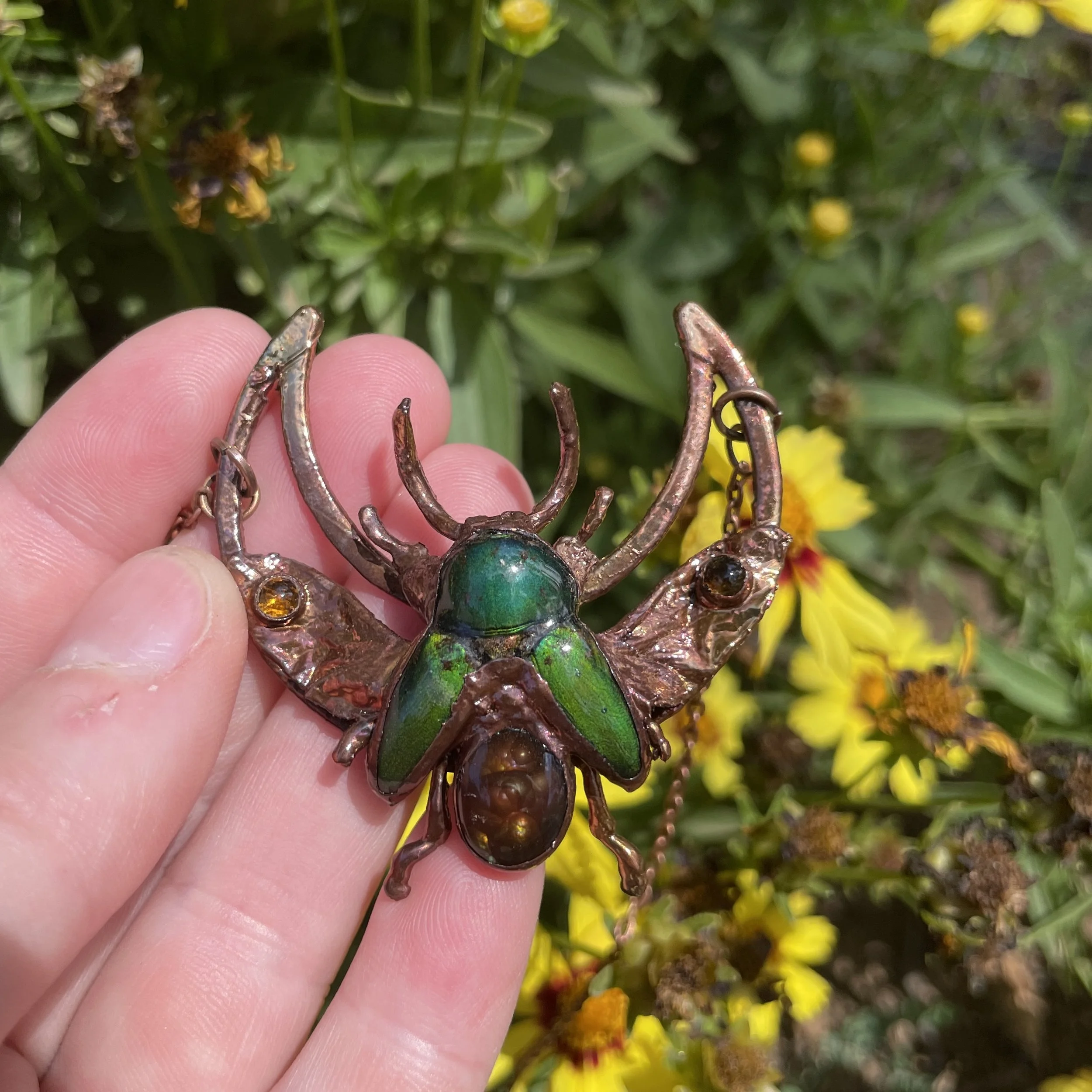 Beetles