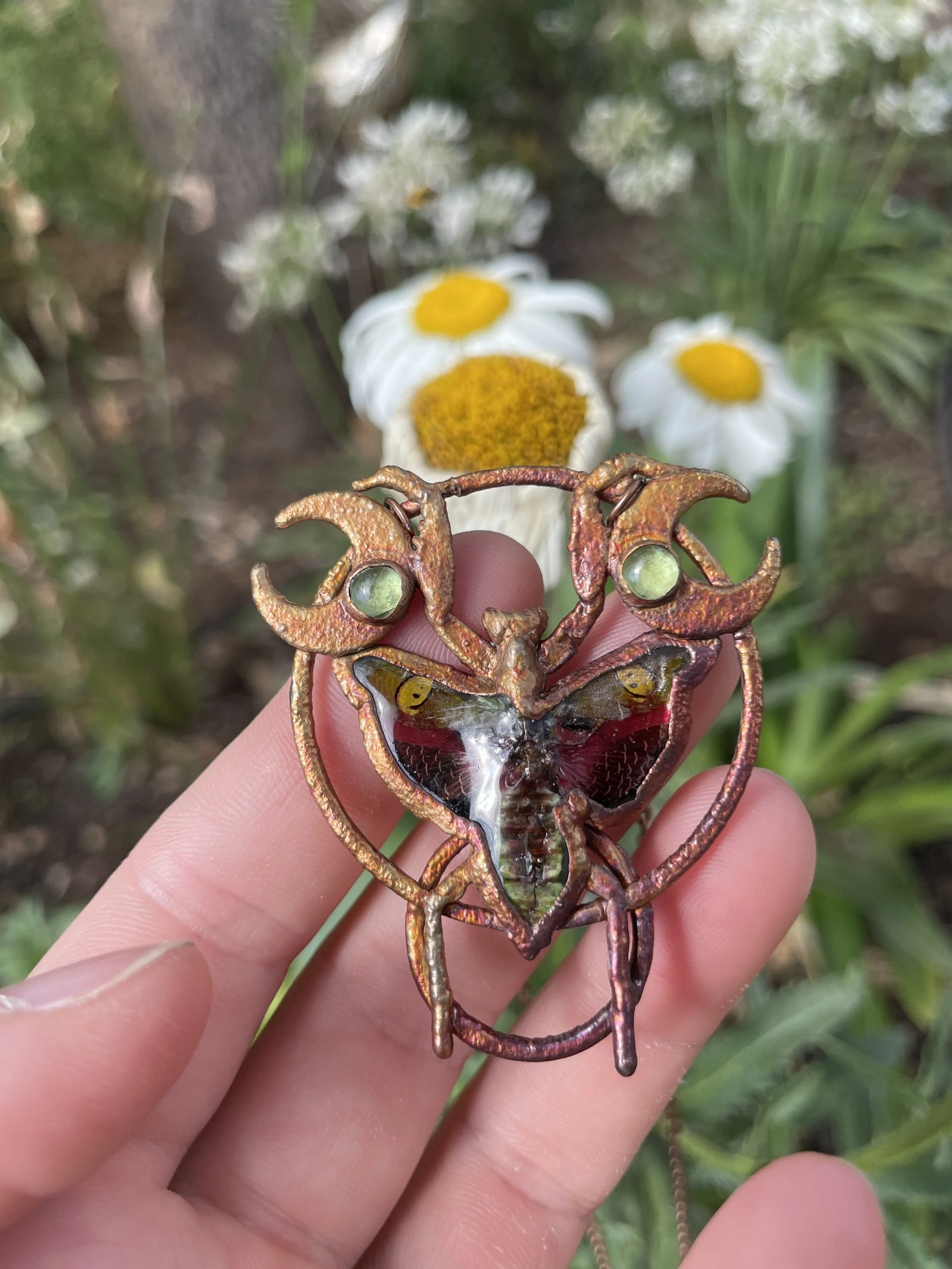 Preying Mantis