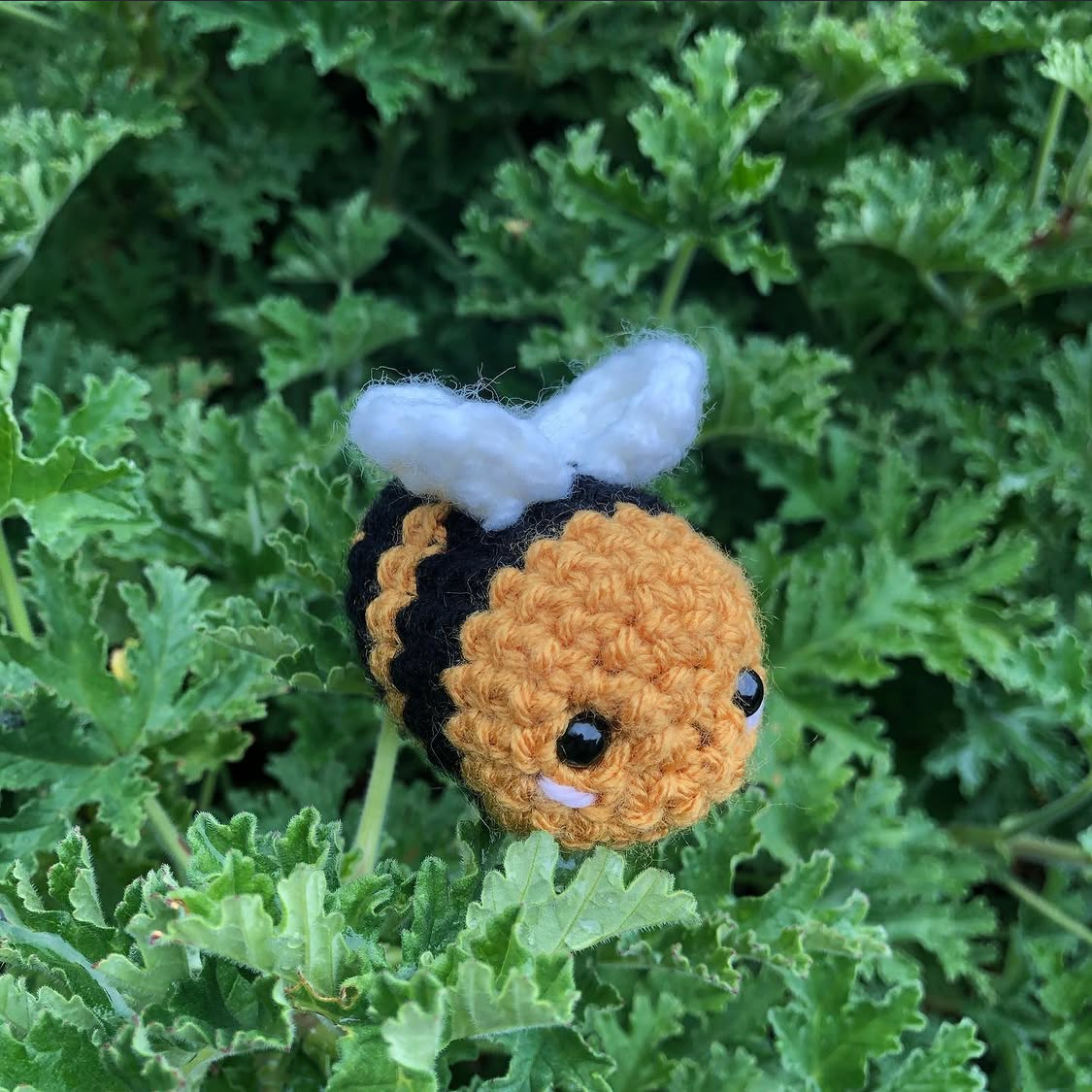 Beechain Crochet Class