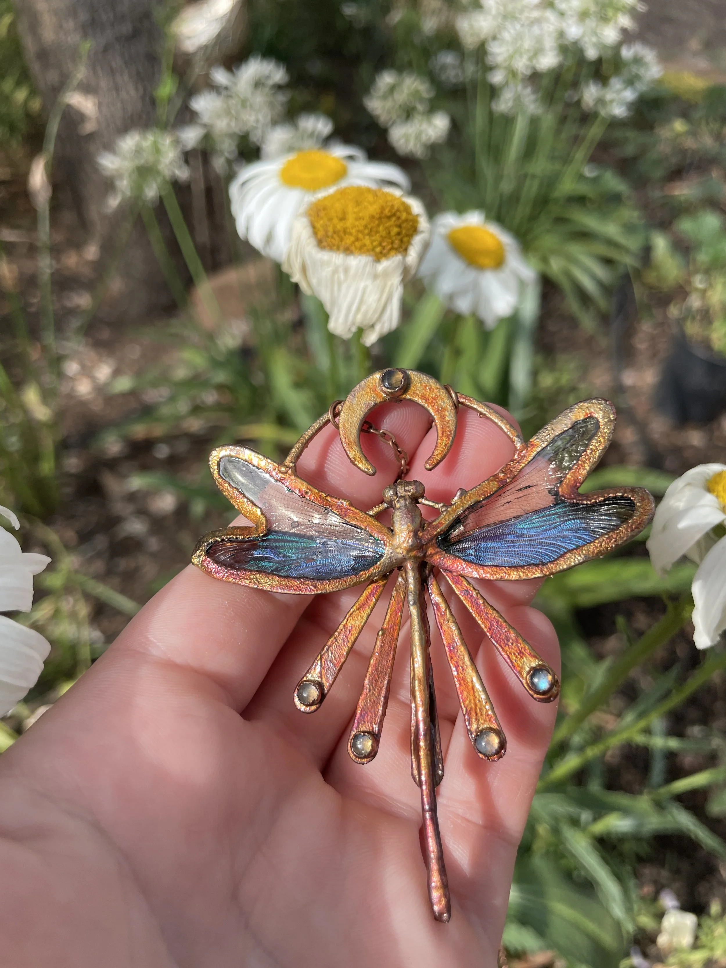 Dragonfly