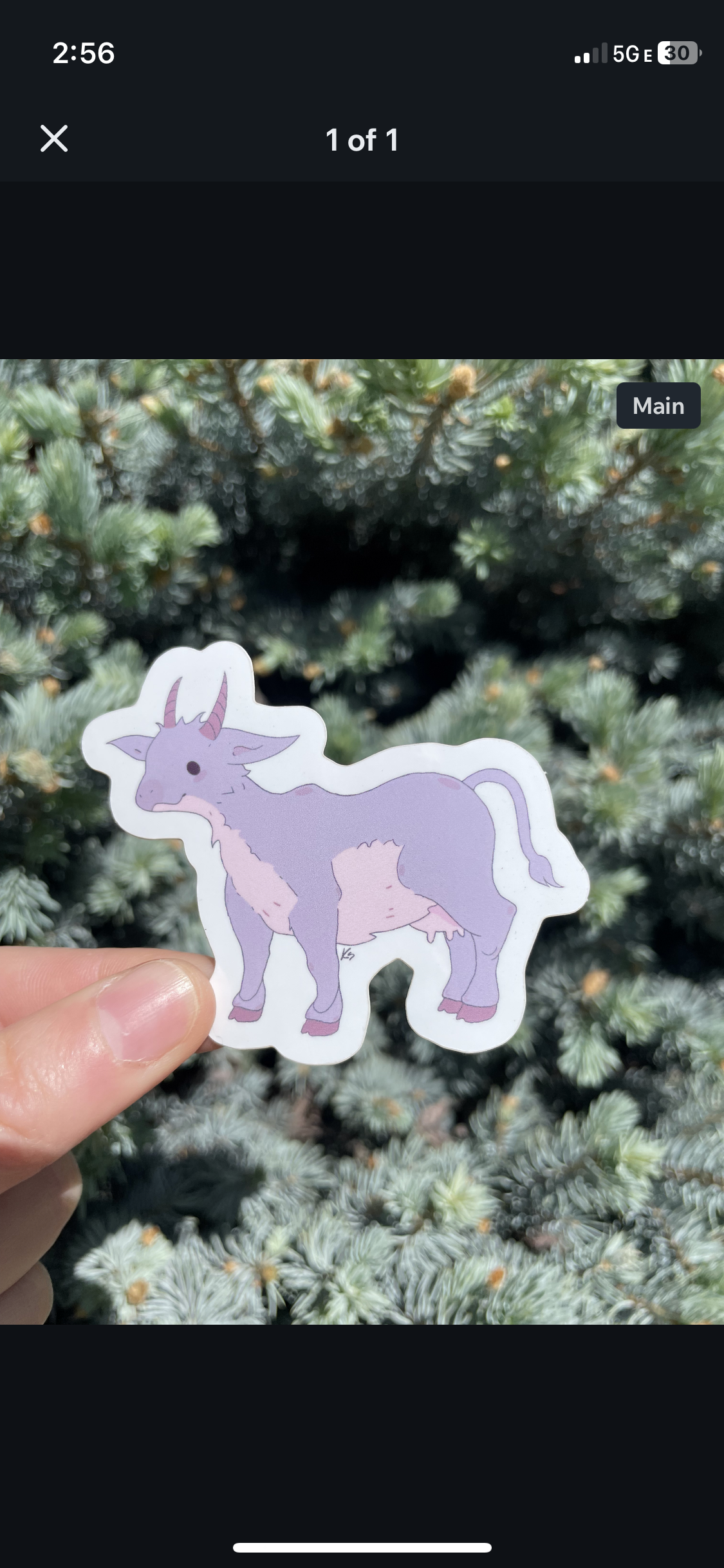 Cow