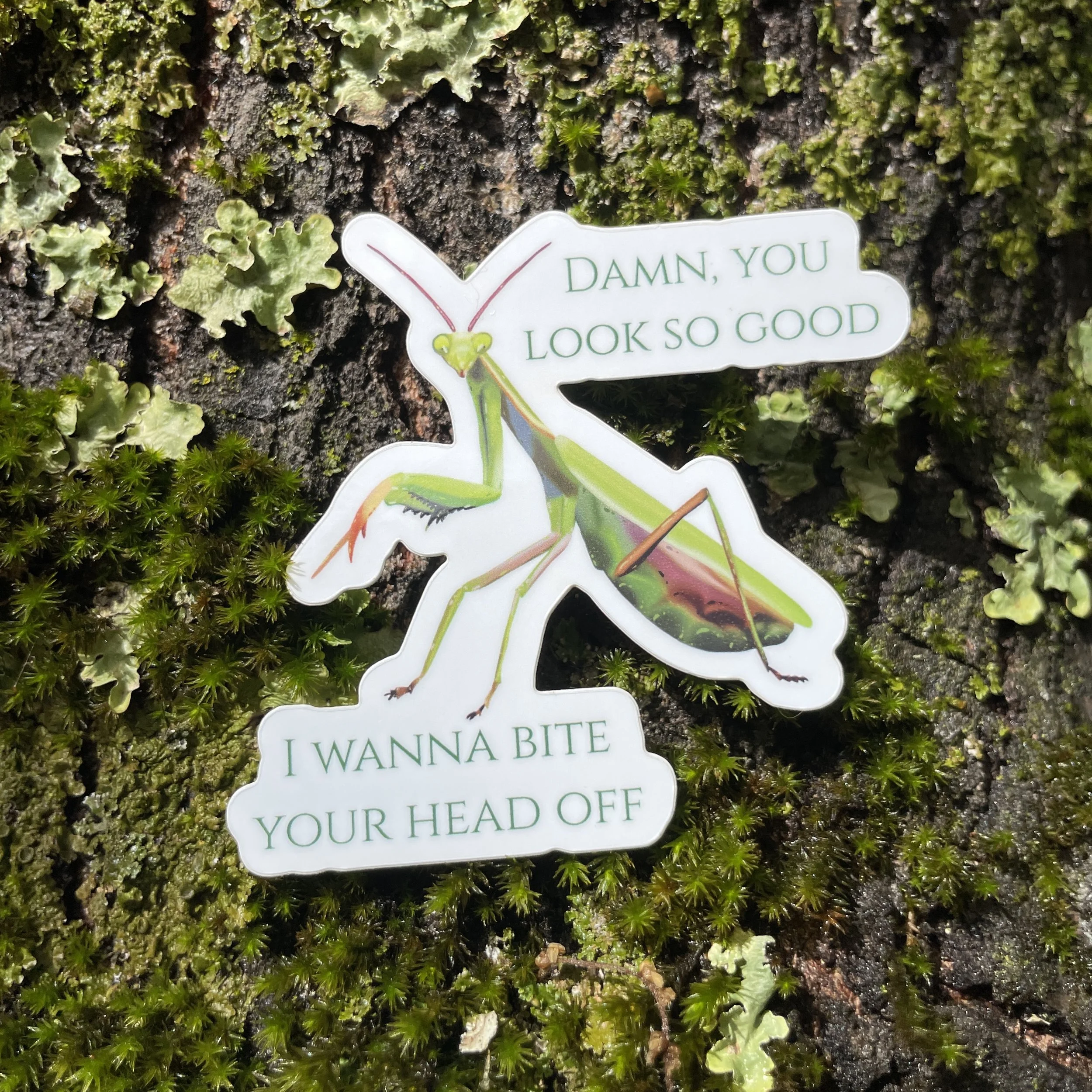 Preying Mantis