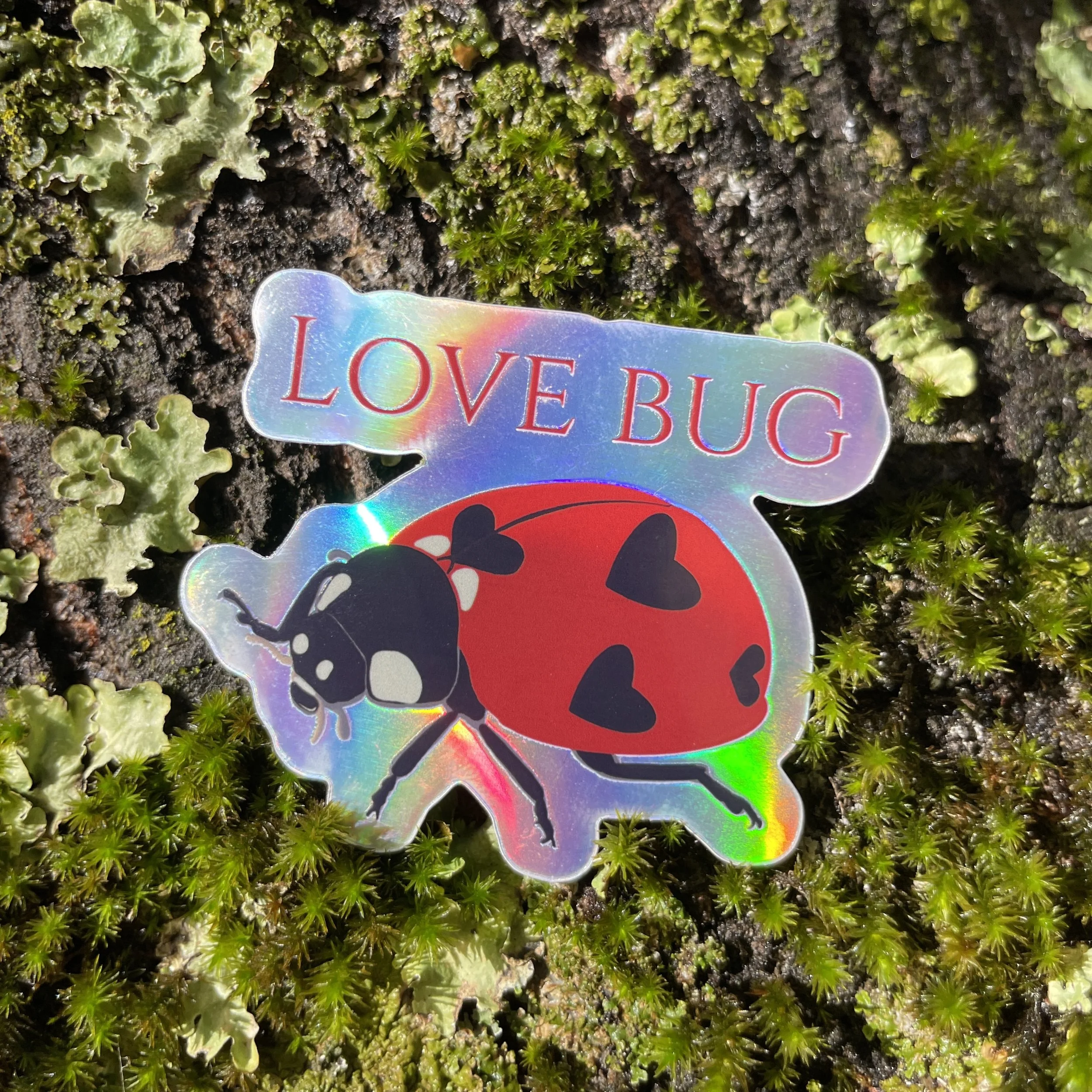 Lady Bug