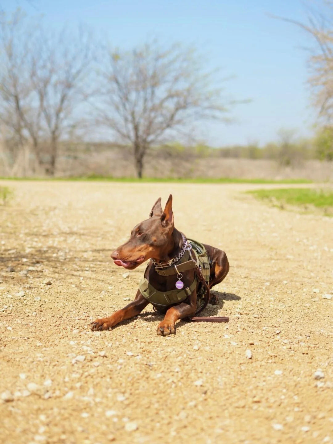 Swipe for a photo bomb