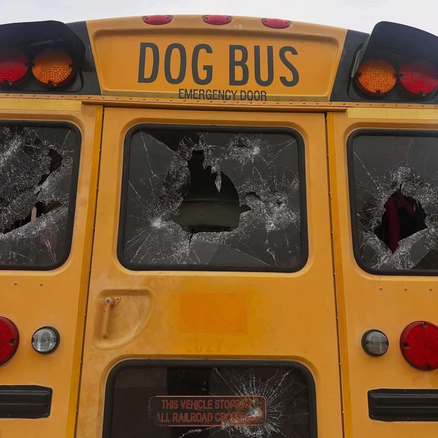 Sometime around 4am the Adventure Doggy Bus got vandalized.

I&rsquo;ve put a lot into that bus. Not just money&hellip; real time, real work, real vision. We literally just got to the point where it was ready to do what it was meant to do.

Taking do