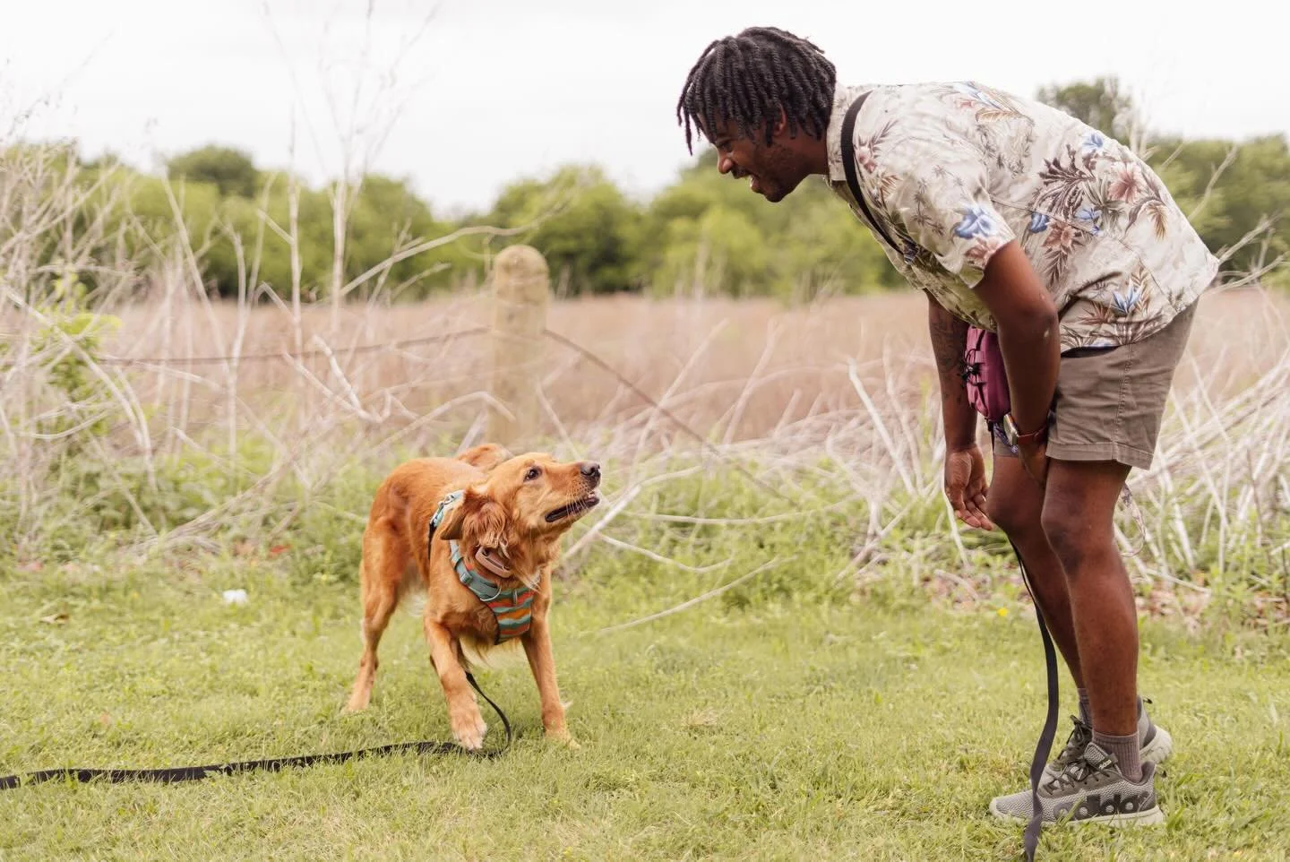 &ldquo; find a job you love and you&rsquo;ll never work a day in your life&rdquo; ☺️

#adventuredoggybus