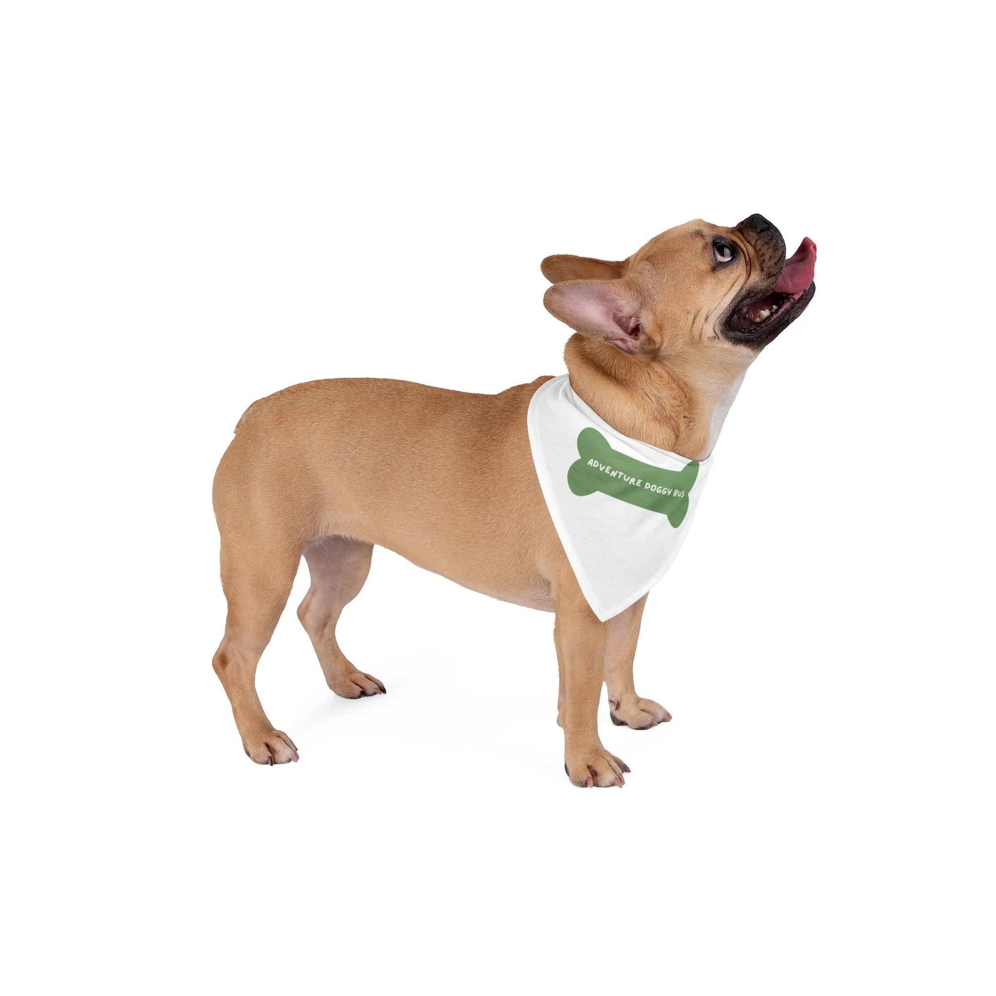 The Bandana Your Dog *actually* Wants — My Neighbor's Dog Co. Apparel