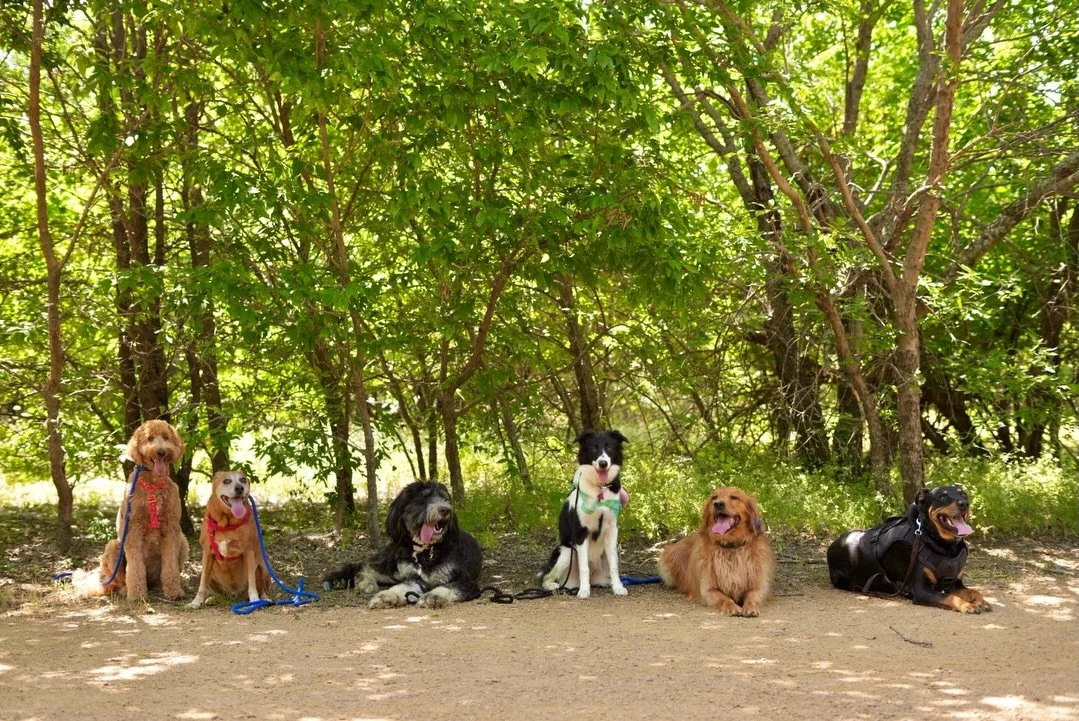 Adventure Day Camp - 6.2.26