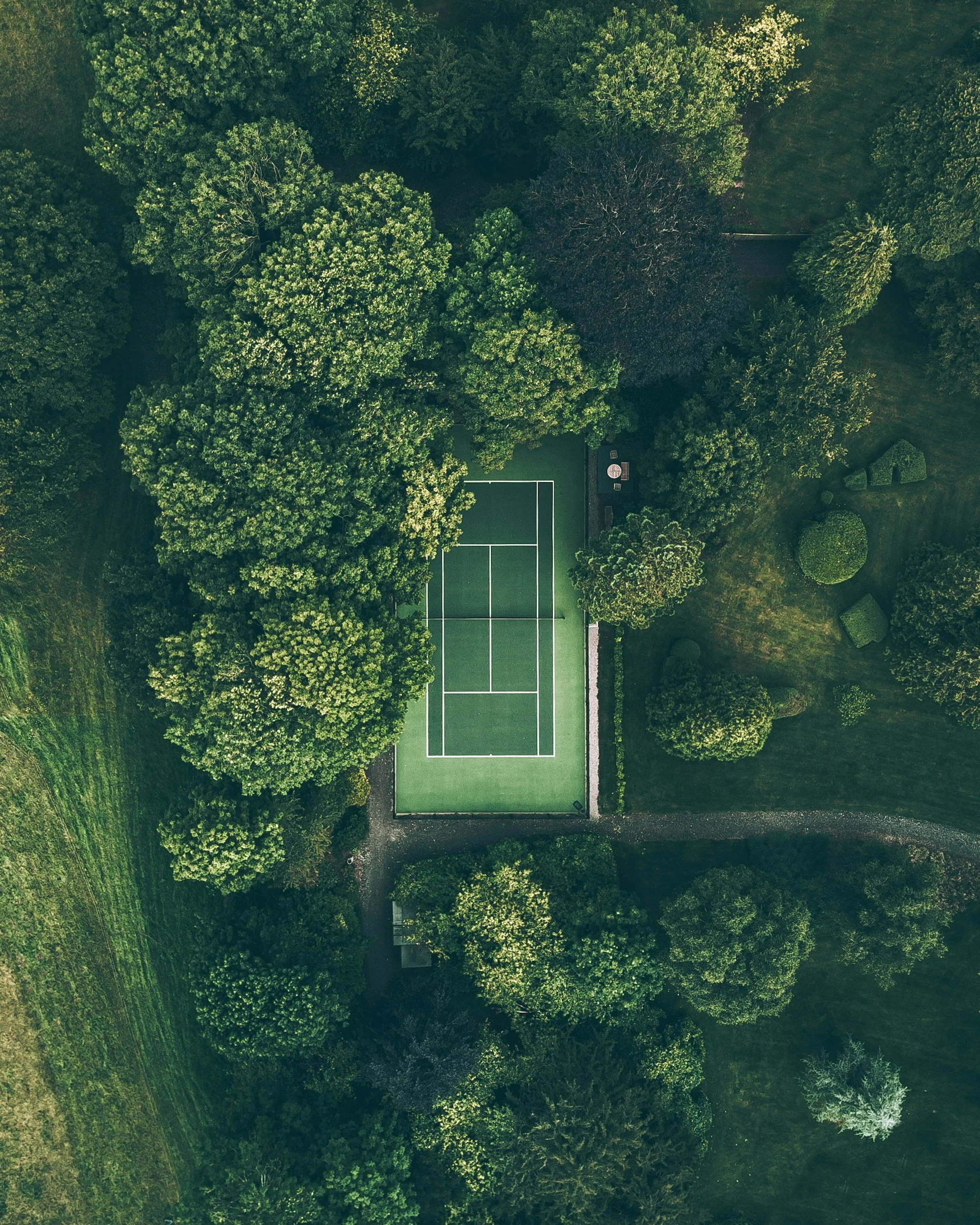 Aerial view of a tennis court surrounded by trees and greenery.