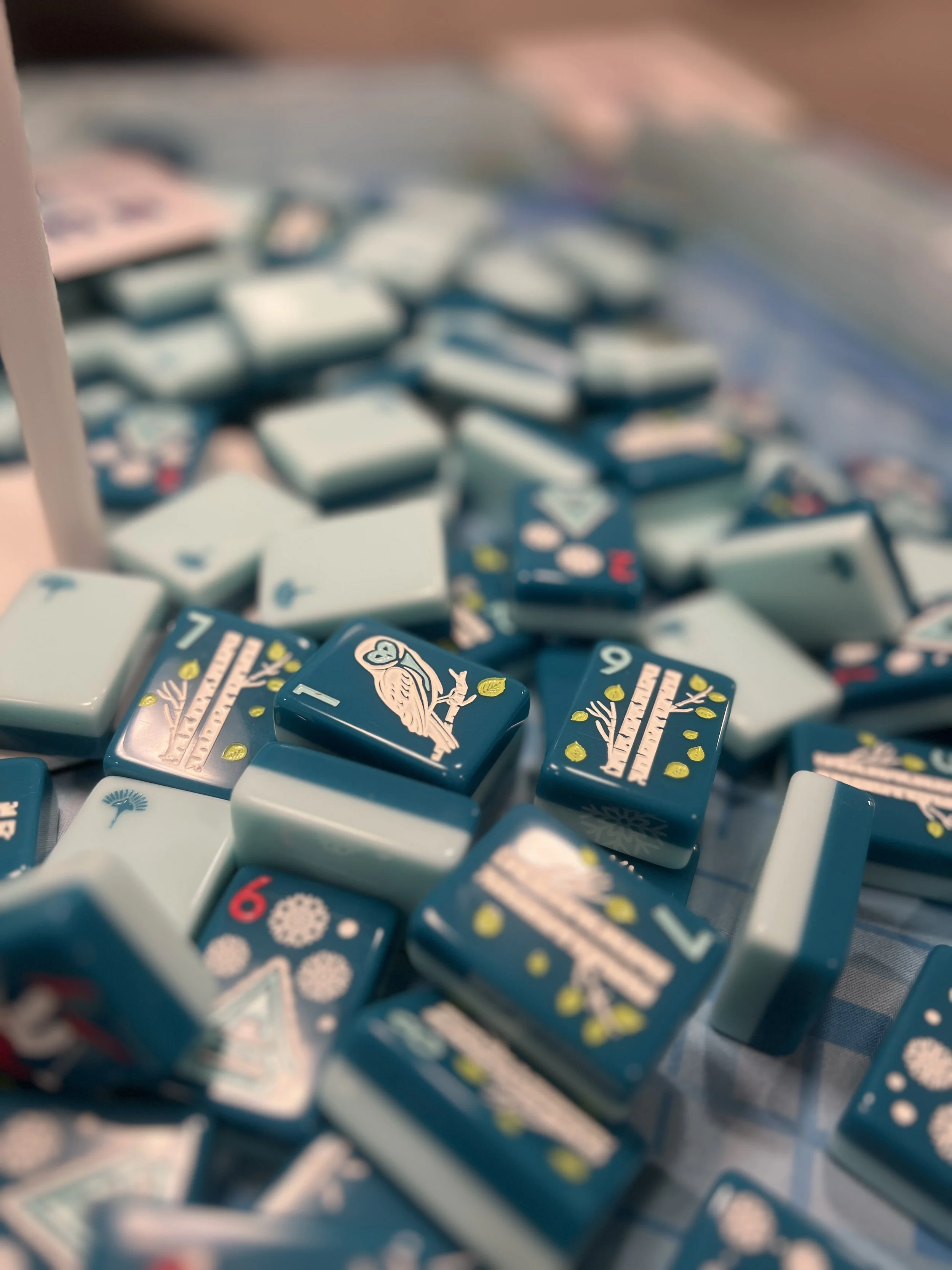 The Ski Club by Charleston Mahjong Club