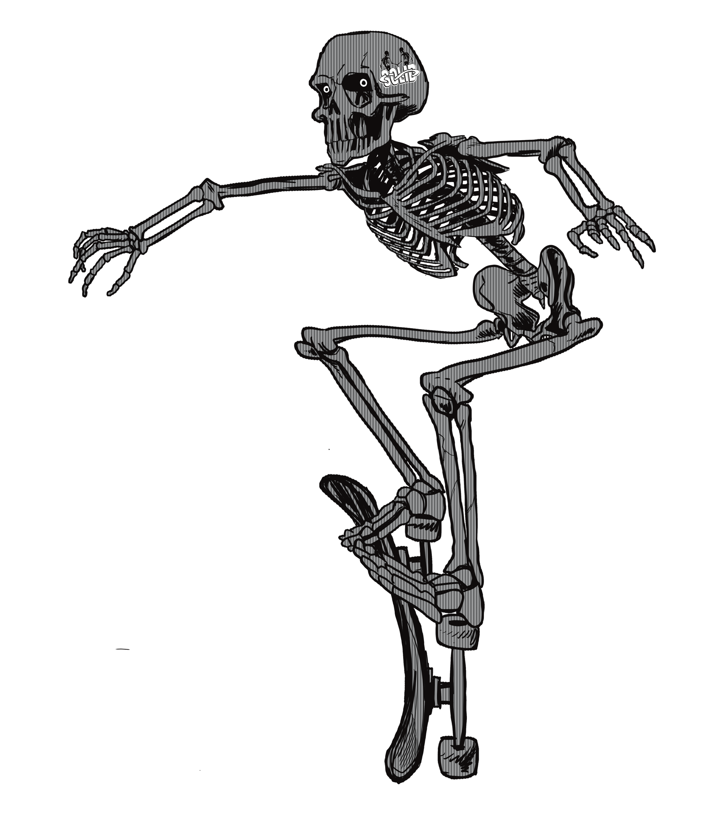 IMG_0236.PNG