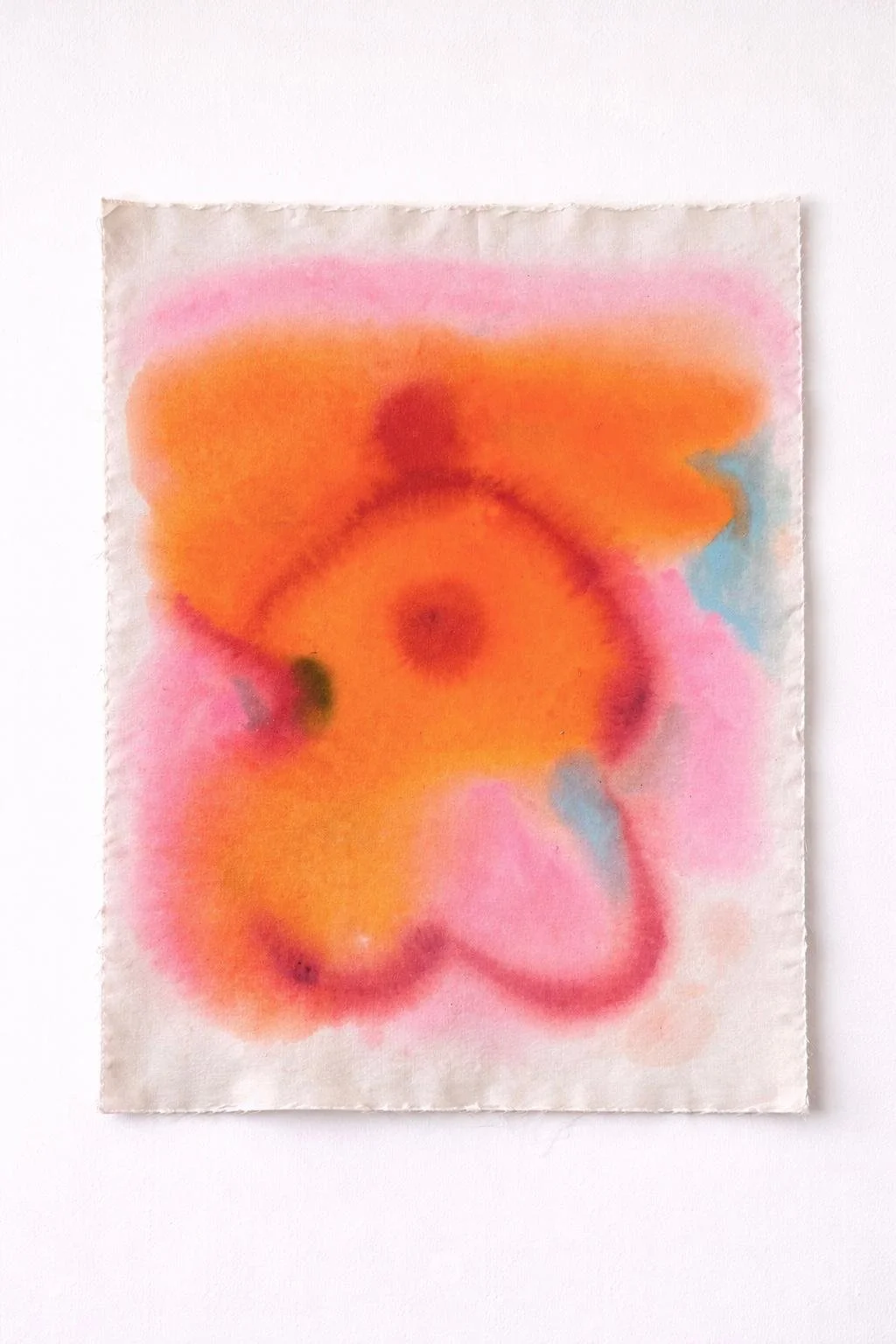 The garden I nourish inside of me