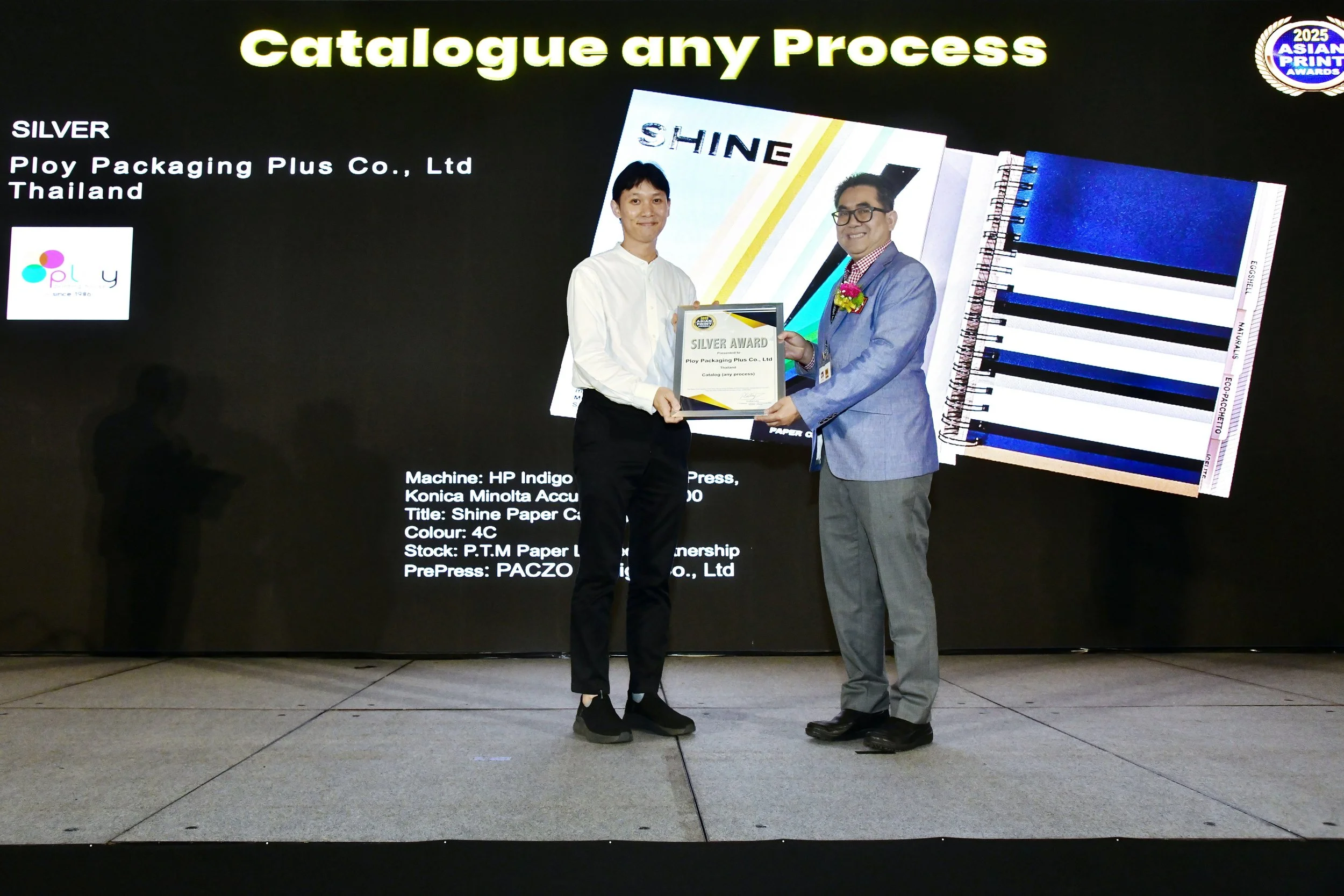 Cat - Silver1.JPG