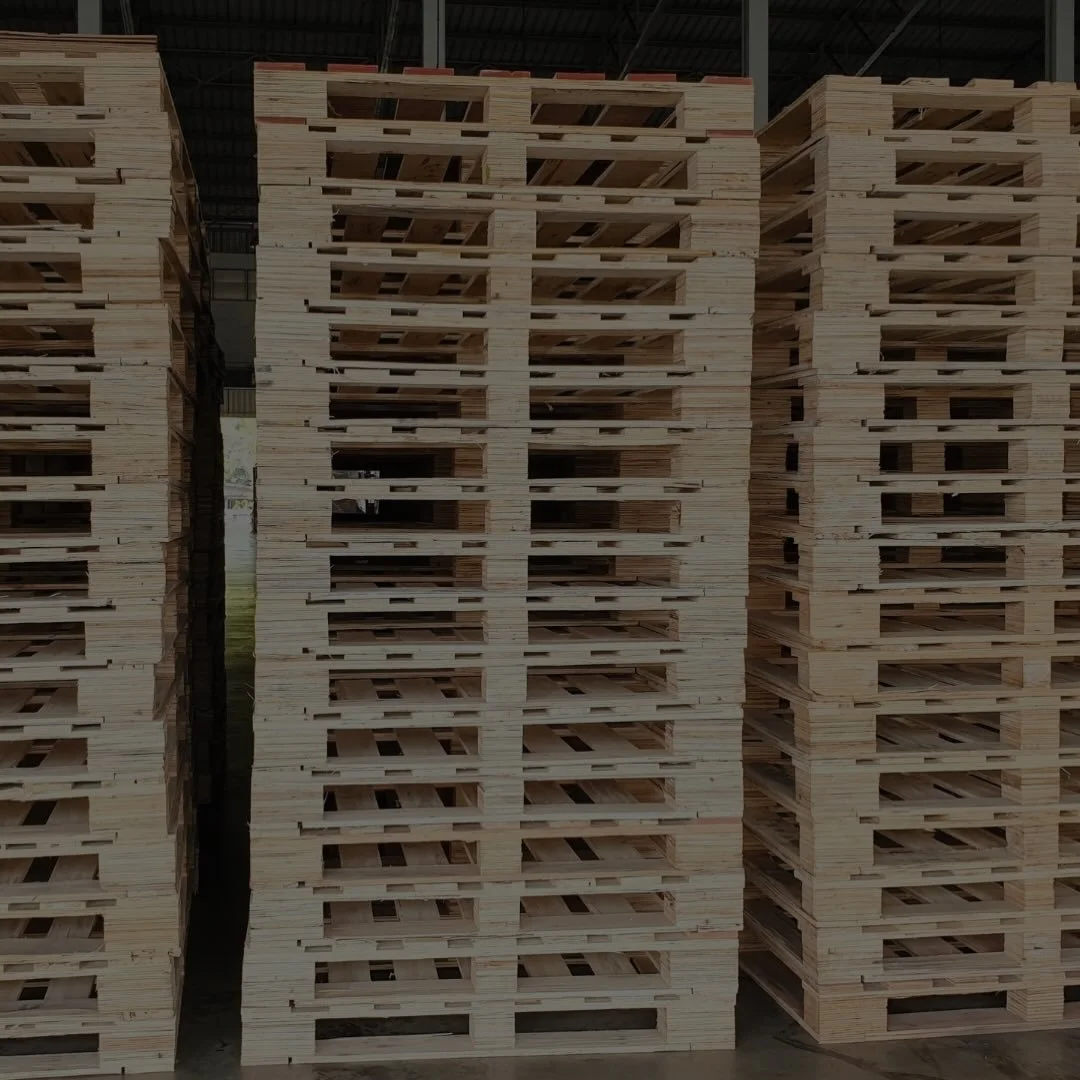 La base de un env&iacute;o seguro empieza aqu&iacute;.
Tarimas resistentes para una distribuci&oacute;n eficiente.

📦 Estabilidad en cada movimiento.