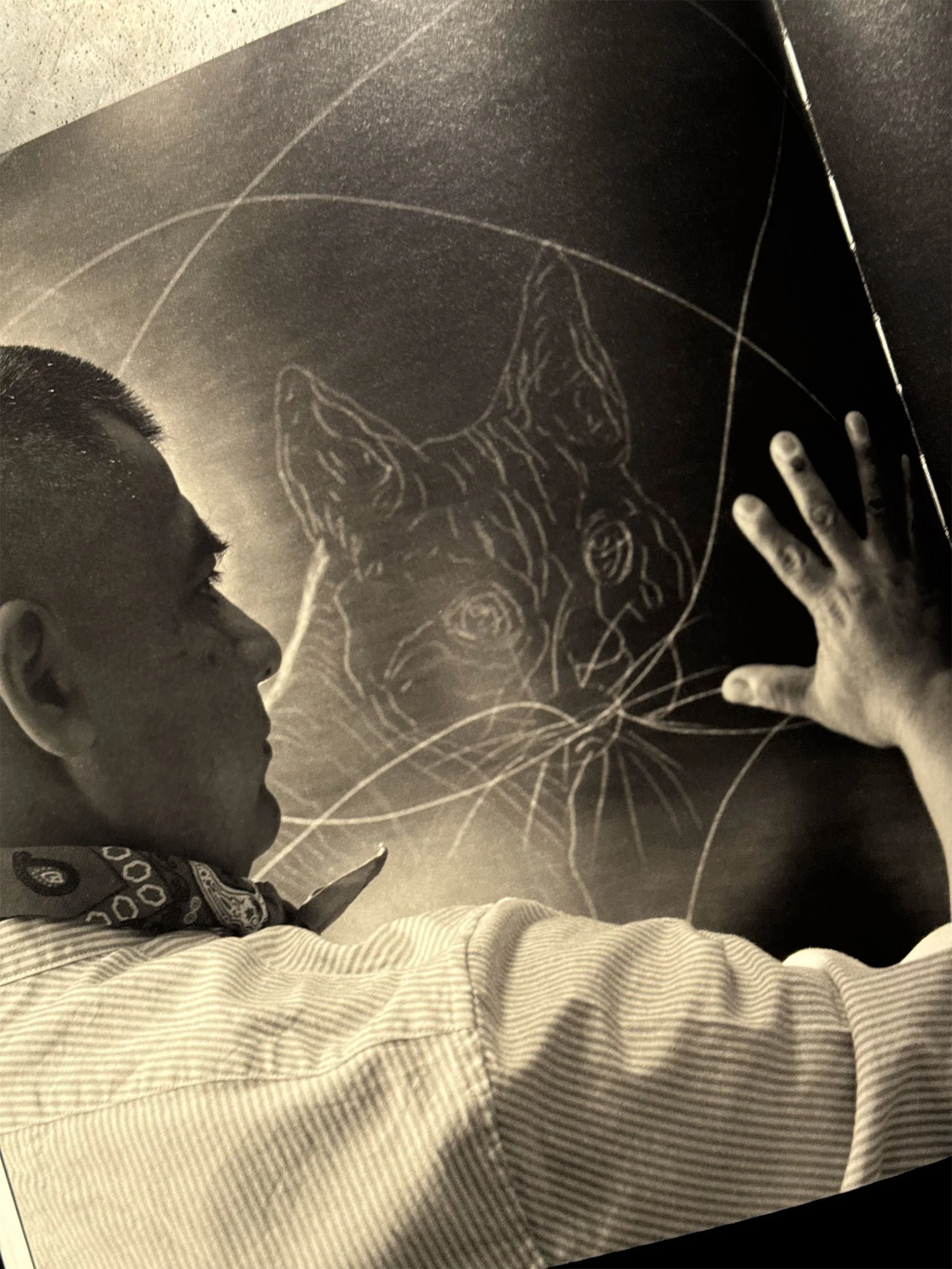 Transiciones: Por Jorge Pech Casanova