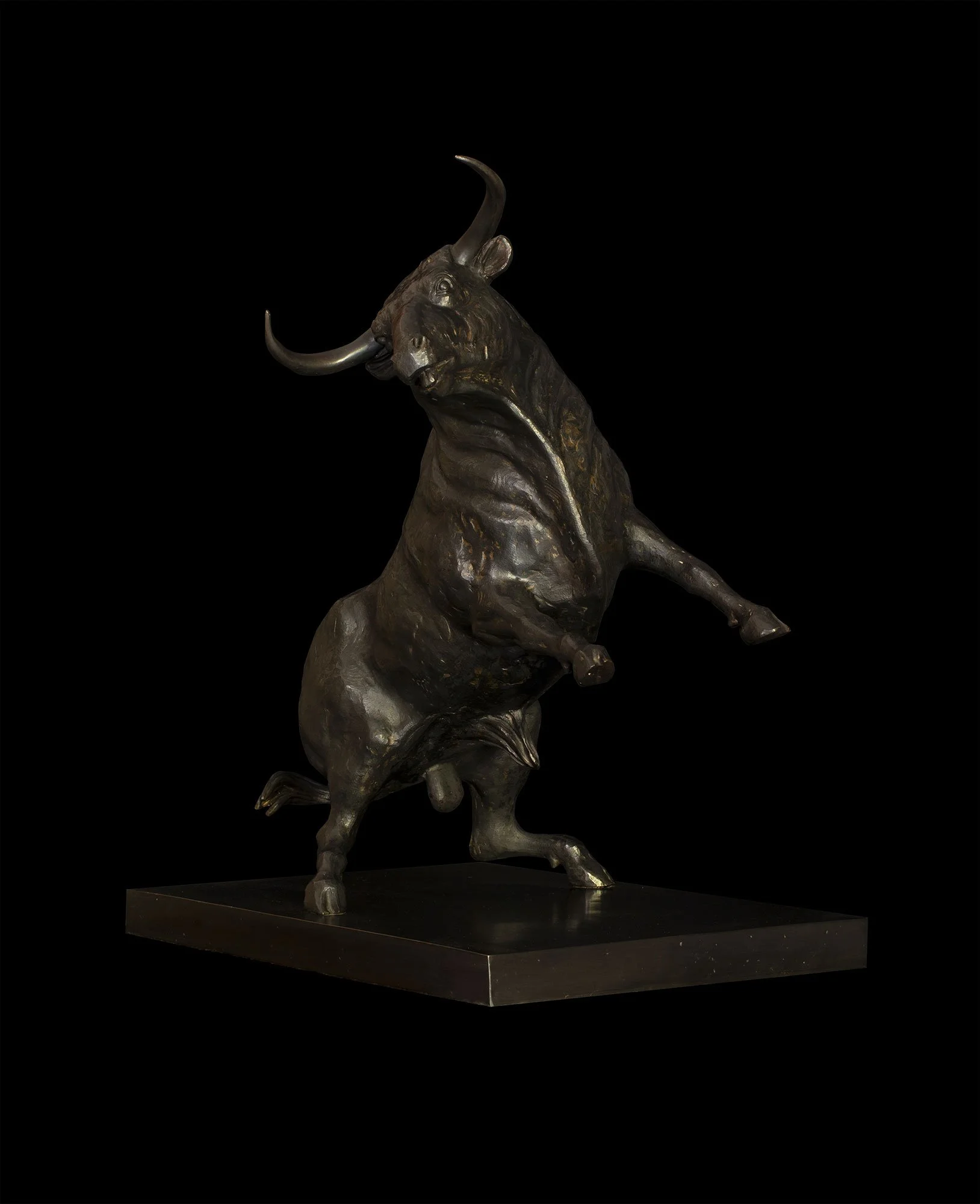 Toro bravo / escultura en bronce /
 70 x 60 x 40 cm / 2024