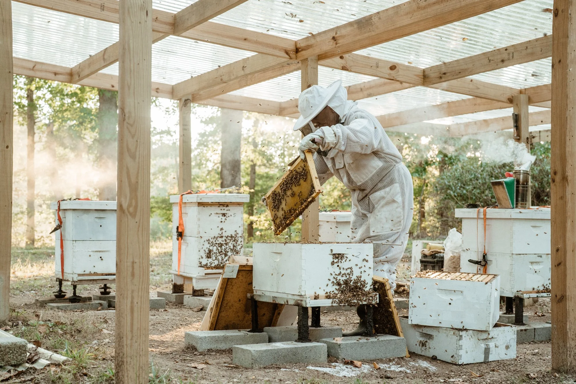 nashville+franklin+williamson+lewis+branding+lifestyle+photographer+portrait+editorial++tennessee+documentary+bees+apiary+beekeeping+beekeeper+honey+farming+agriculture+environmentalism+rural-9.jpg