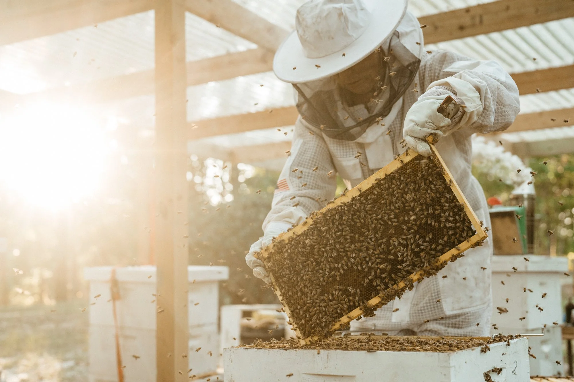 nashville+franklin+williamson+lewis+branding+lifestyle+photographer+portrait+editorial++tennessee+documentary+bees+apiary+beekeeping+beekeeper+honey+farming+agriculture+environmentalism+rural-6.jpg