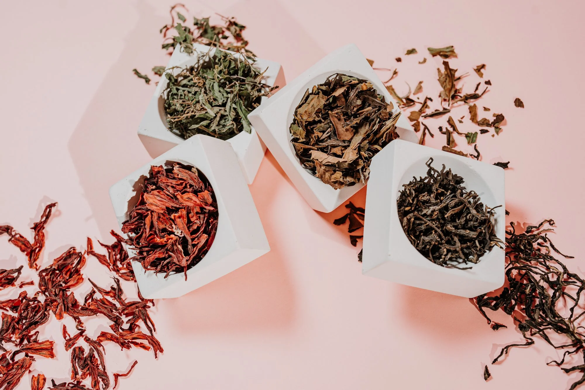 nashville+franklin+williamson+lewis+tennessee+branding+photographer+website+product+lifestyle+tea+herbal+herbalist+naturopathic+loose leaf-13.jpg