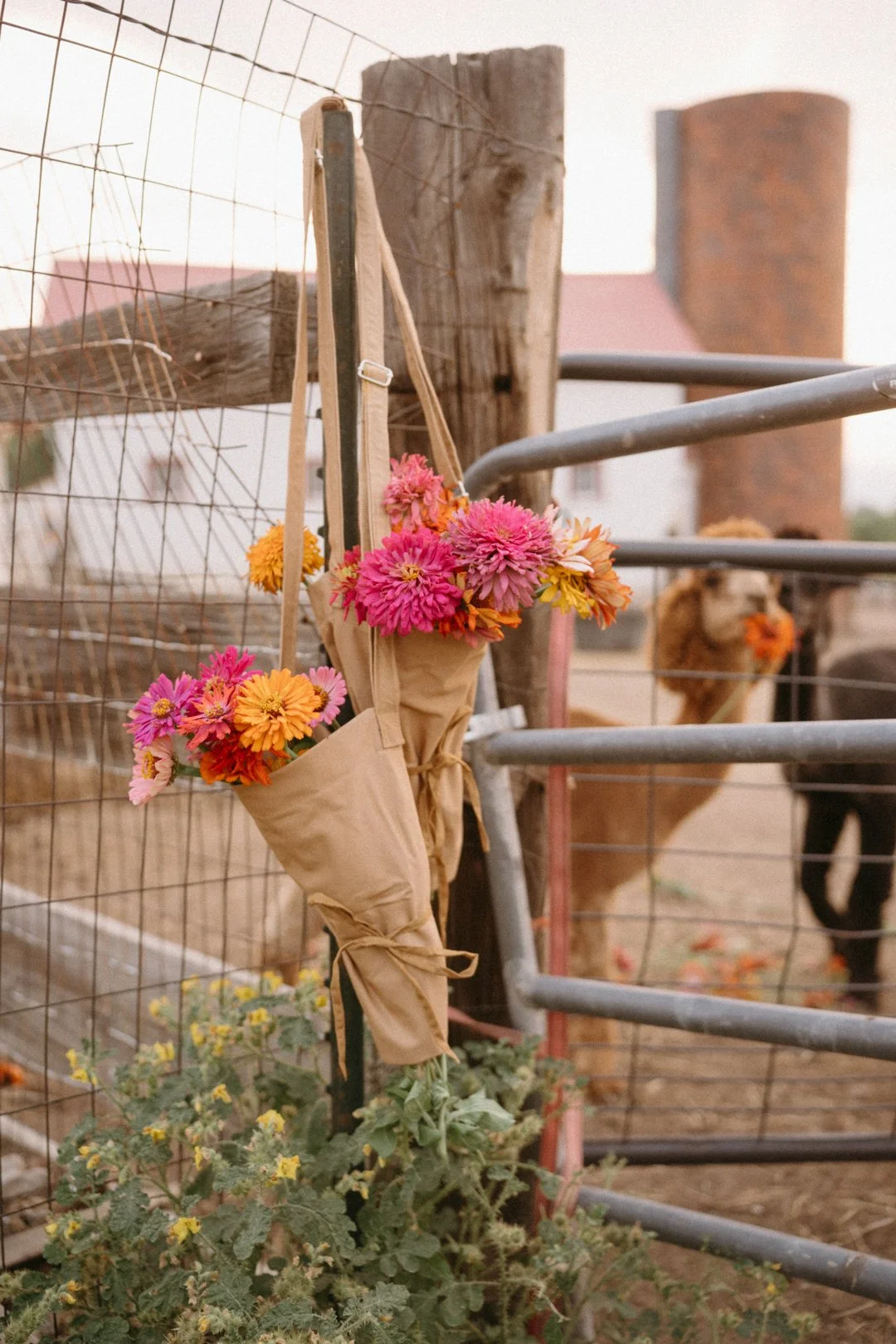 nashville+franklin+williamson+lewis+branding+lifestyle+photographer+flower+farm+bag+handmade+produce+market+tennessee-12.jpg