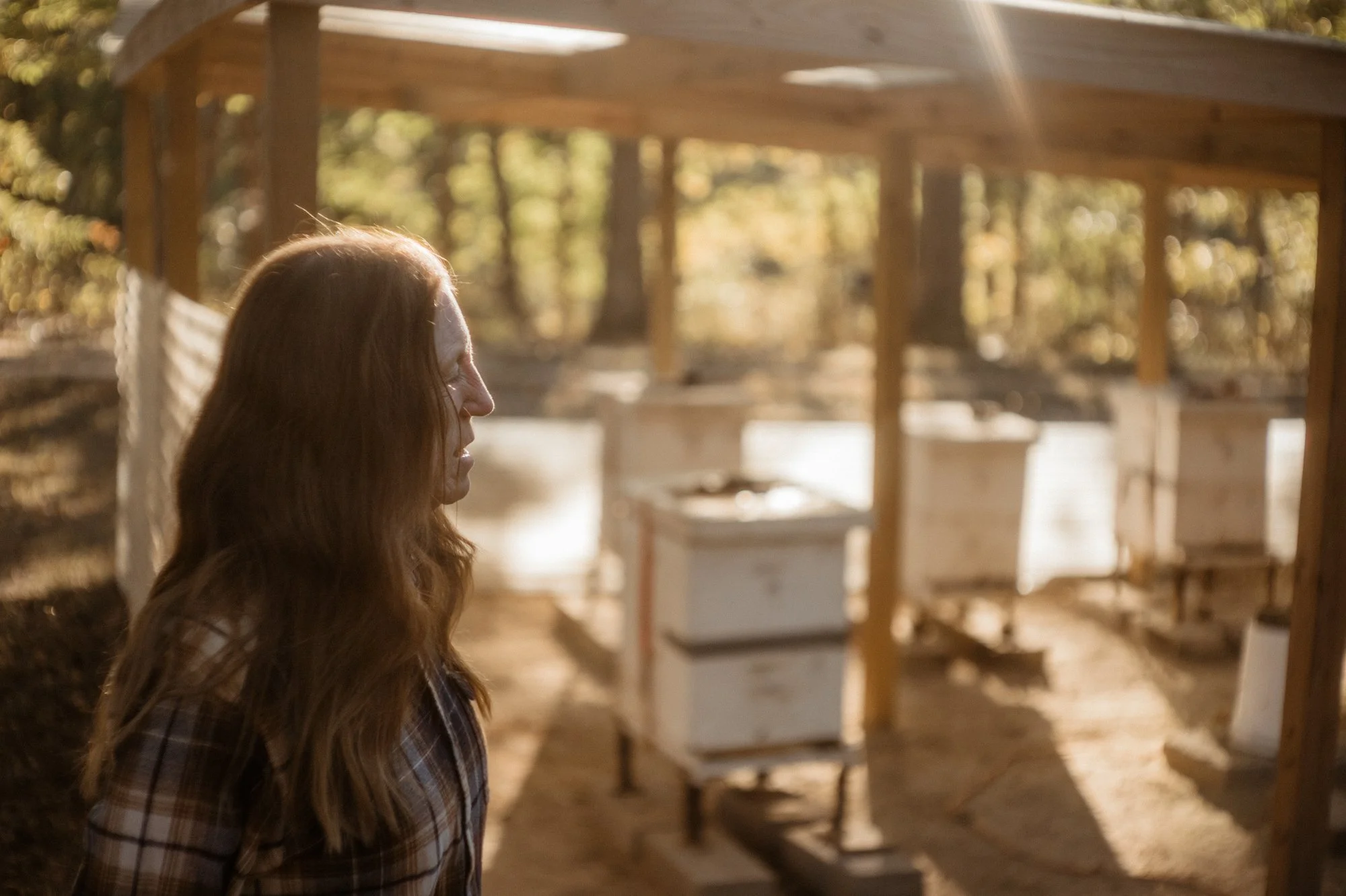 nashville+franklin+williamson+lewis+branding+lifestyle+photographer+portrait+editorial++tennessee+documentary+bees+apiary+beekeeping+beekeeper+honey+farming+agriculture+environmentalism+rural-14.jpg