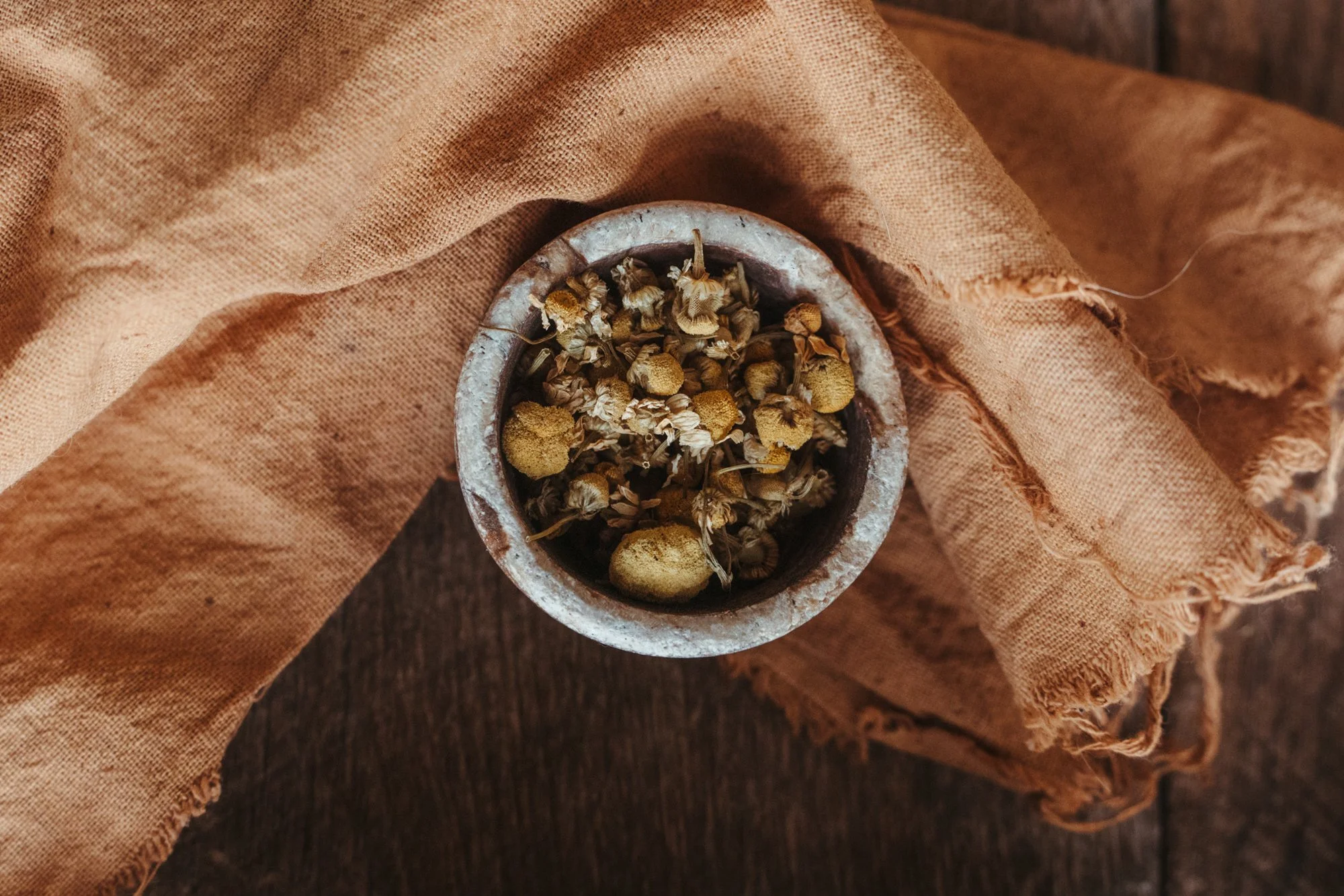 nashville+franklin+williamson+lewis+branding+lifestyle+photographer+flower+farm+herbal+tea+apothecary+handmade+candle+forage+natural+healing+market+tennessee-10.jpg