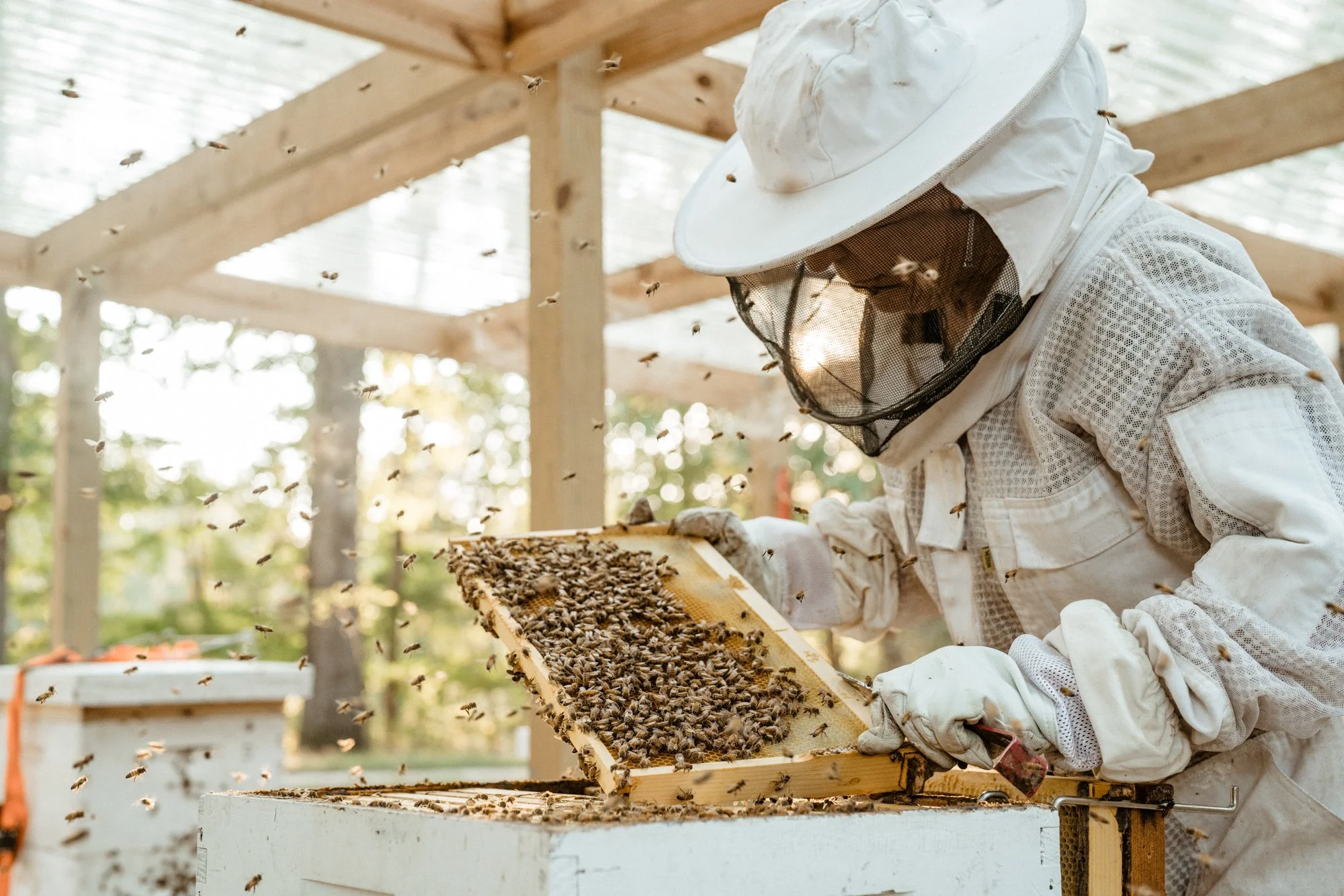 nashville+franklin+williamson+lewis+branding+lifestyle+photographer+portrait+editorial++tennessee+documentary+bees+apiary+beekeeping+beekeeper+honey+farming+agriculture+environmentalism+rural-4.jpg