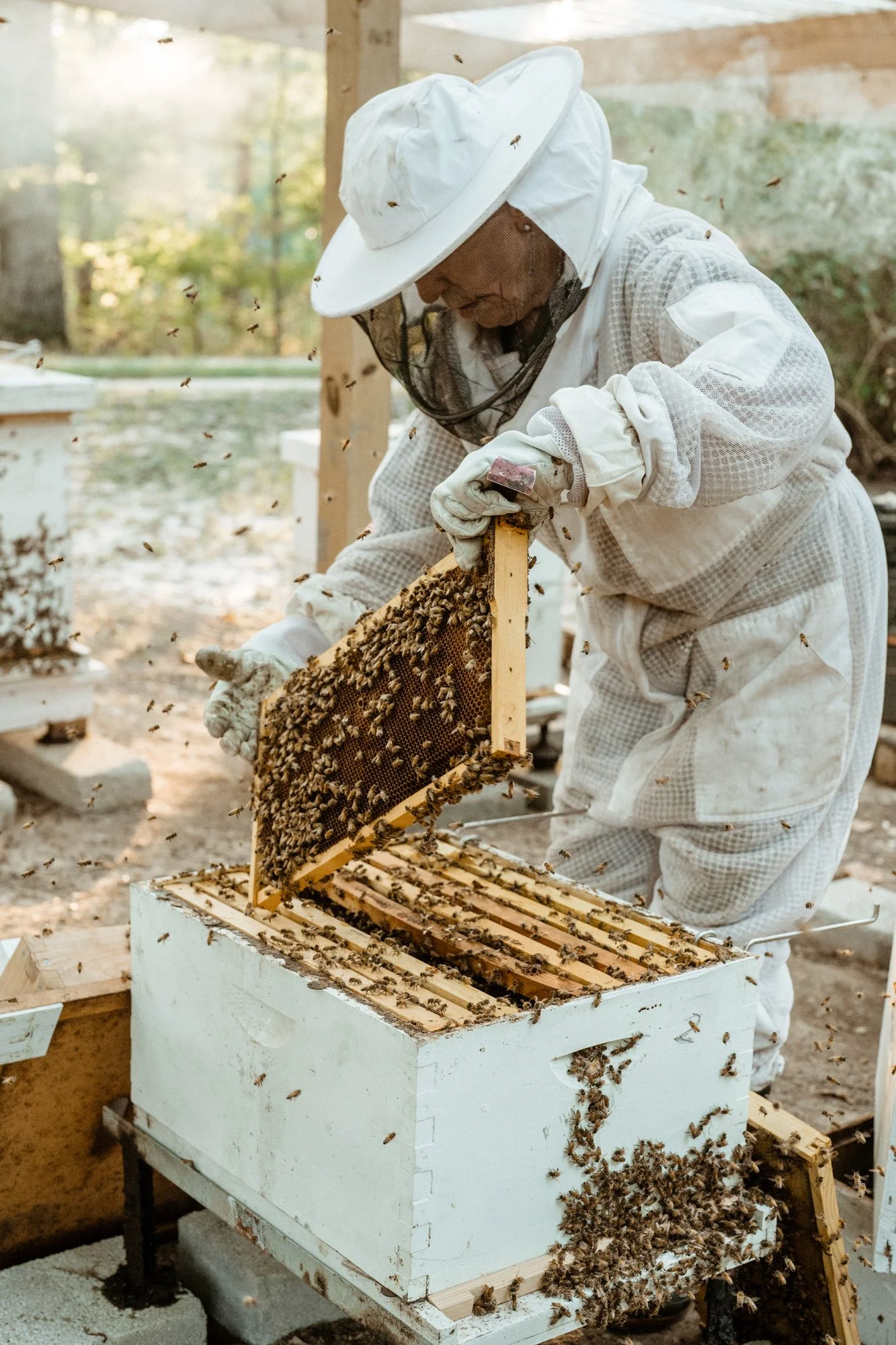 nashville+franklin+williamson+lewis+branding+lifestyle+photographer+portrait+editorial++tennessee+documentary+bees+apiary+beekeeping+beekeeper+honey+farming+agriculture+environmentalism+rural-8.jpg