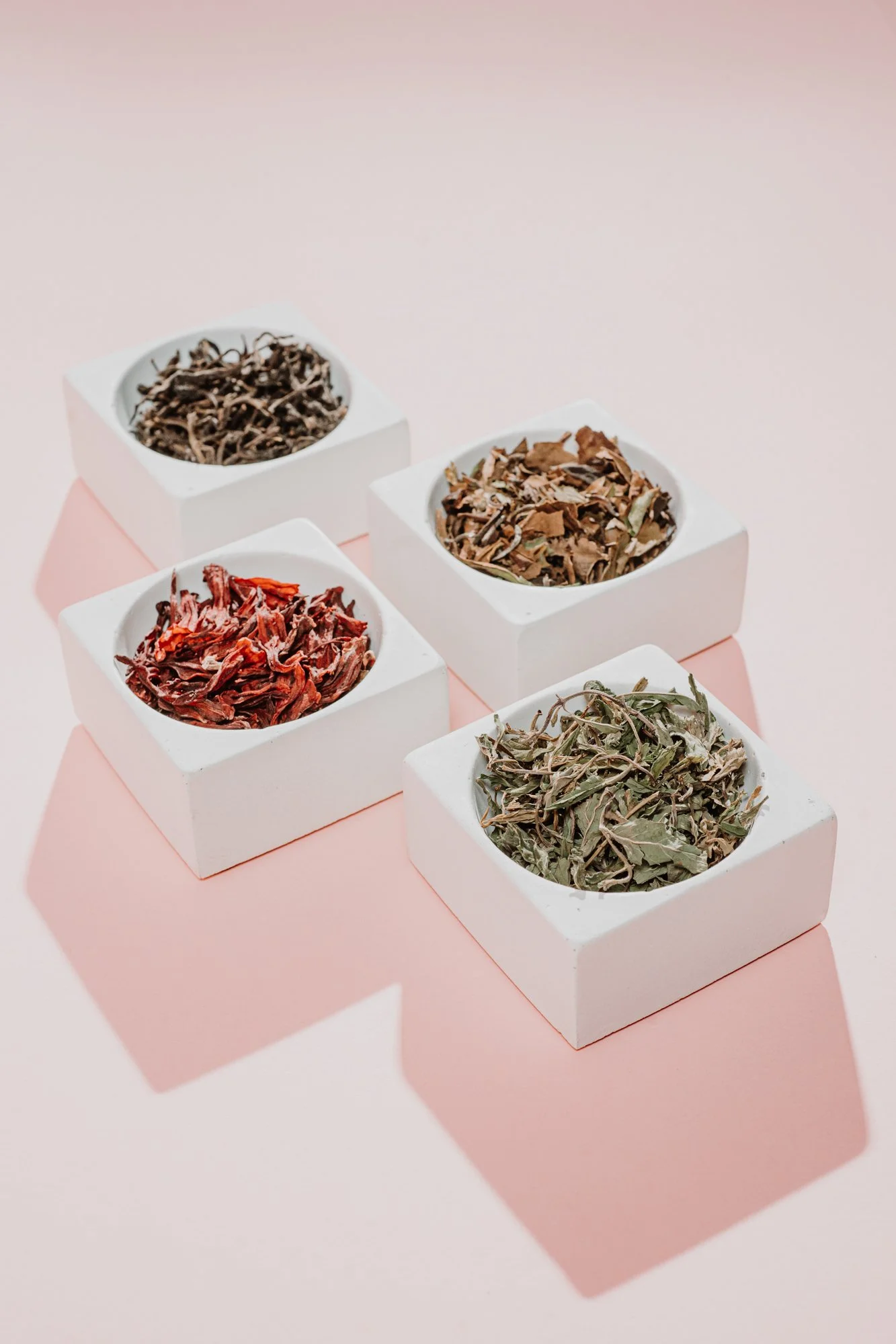 nashville+franklin+williamson+lewis+tennessee+branding+photographer+website+product+lifestyle+tea+herbal+herbalist+naturopathic+loose leaf-11.jpg