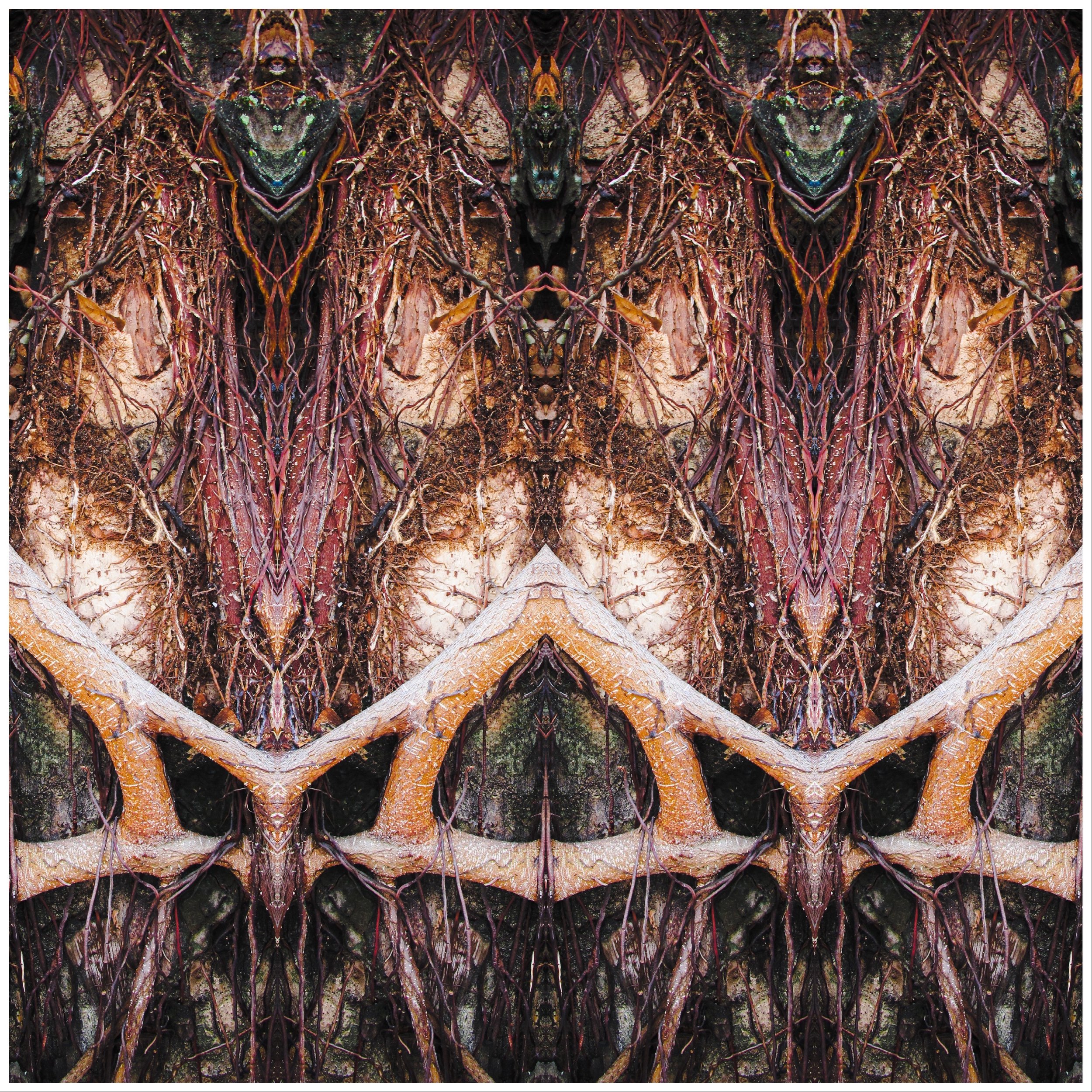 Samsara of Attachment