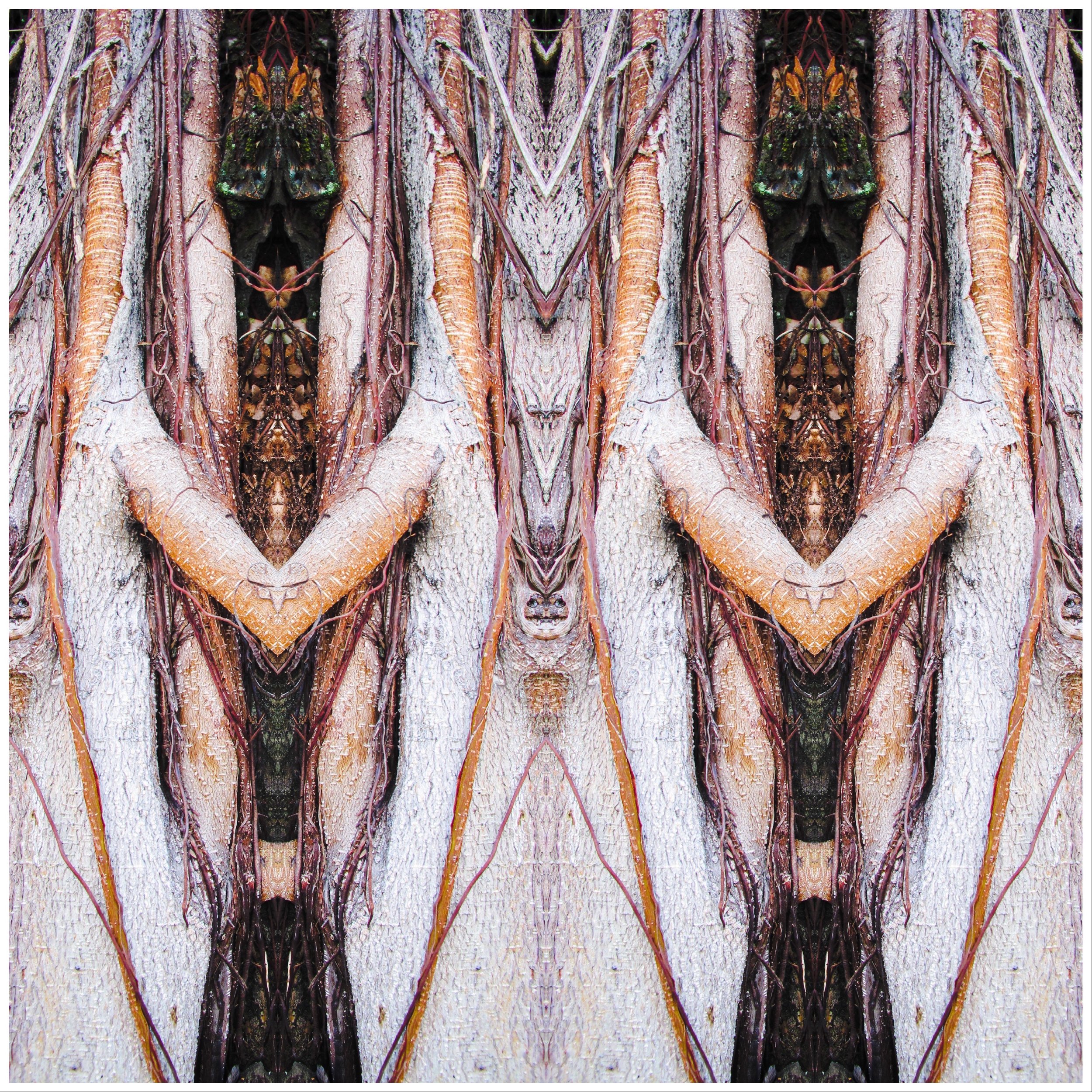 Samsara of Ignorance