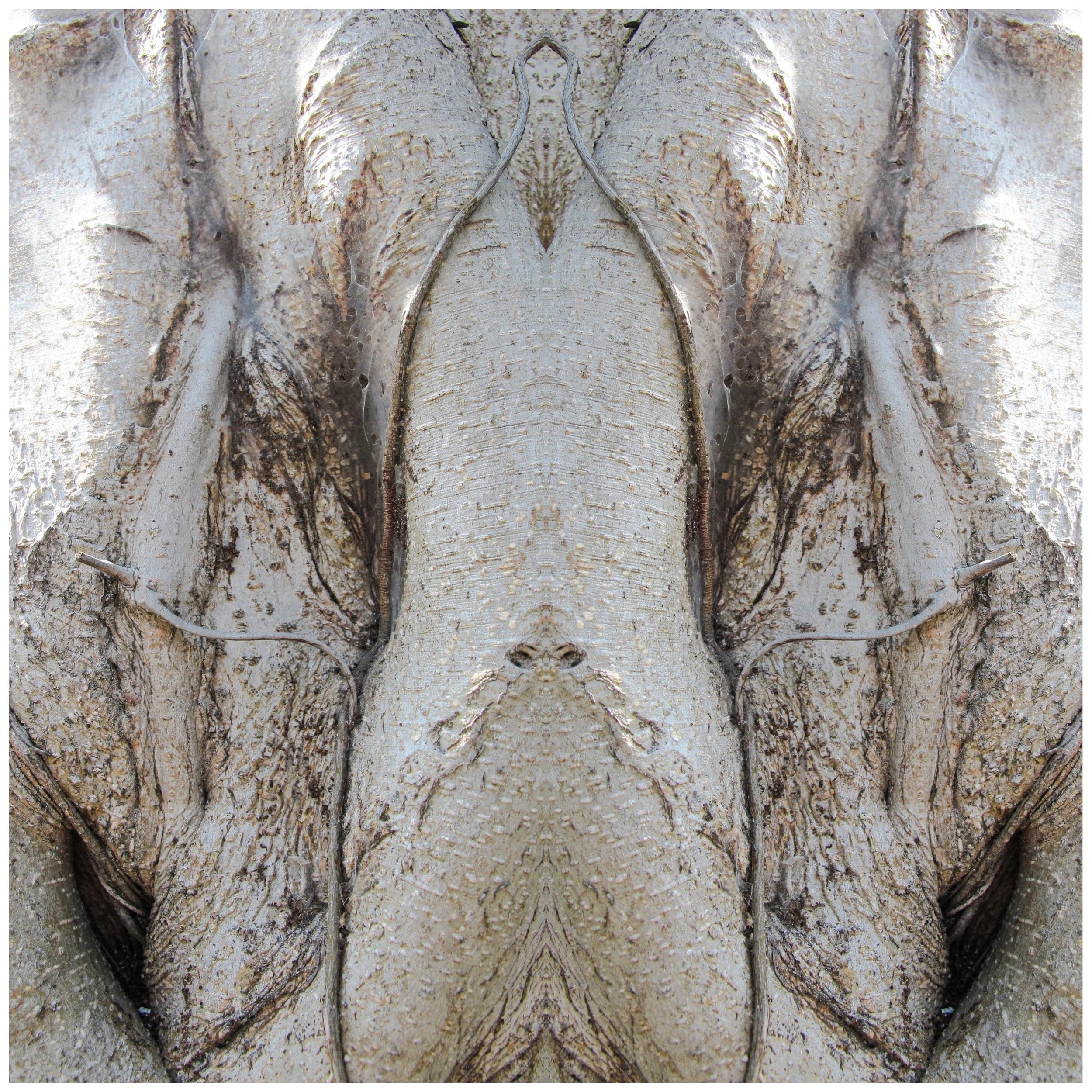 Samsara of Blind Faith