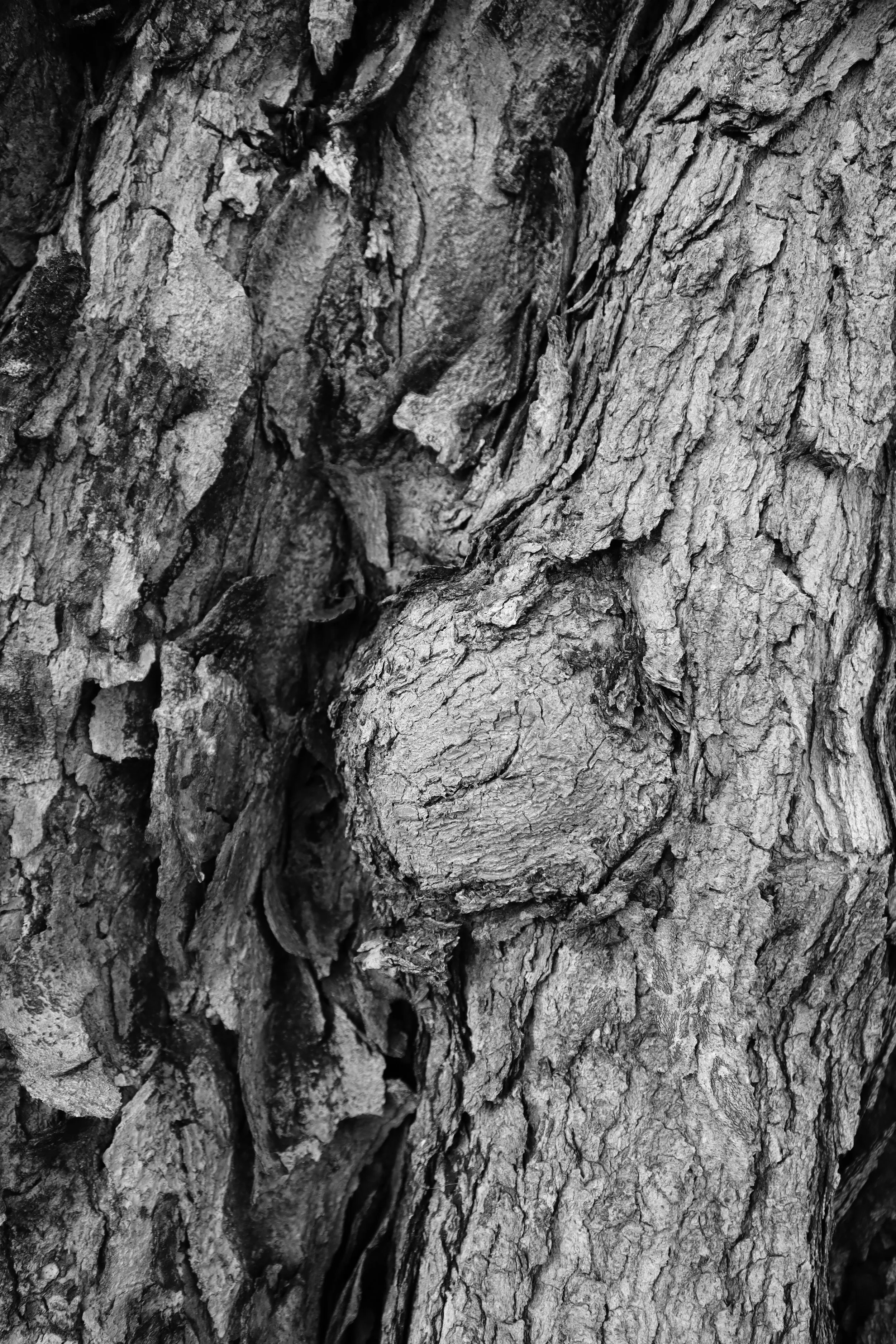 Samskara / Impression