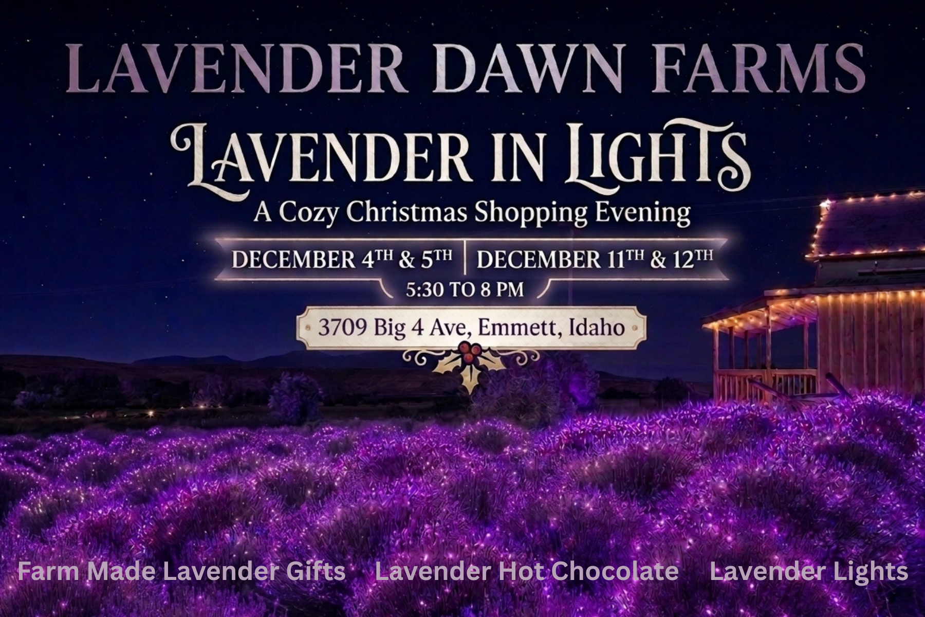 Lavender in Lights at Lavender Dawn Farms