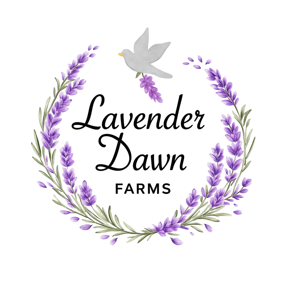 Lavender Dawn Farms
