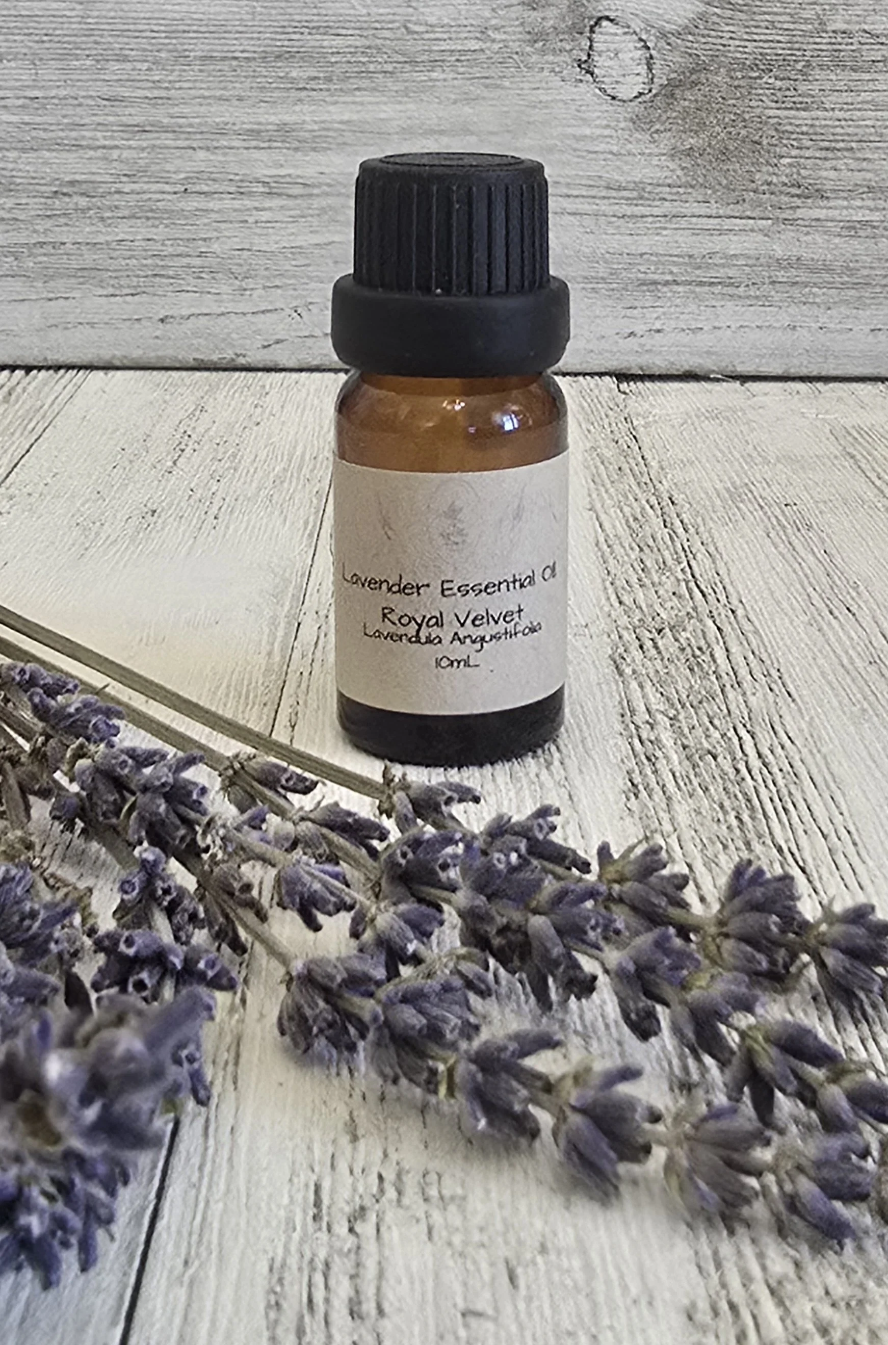 Lavender Essential Oil