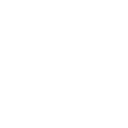 Person video chatting on a computer