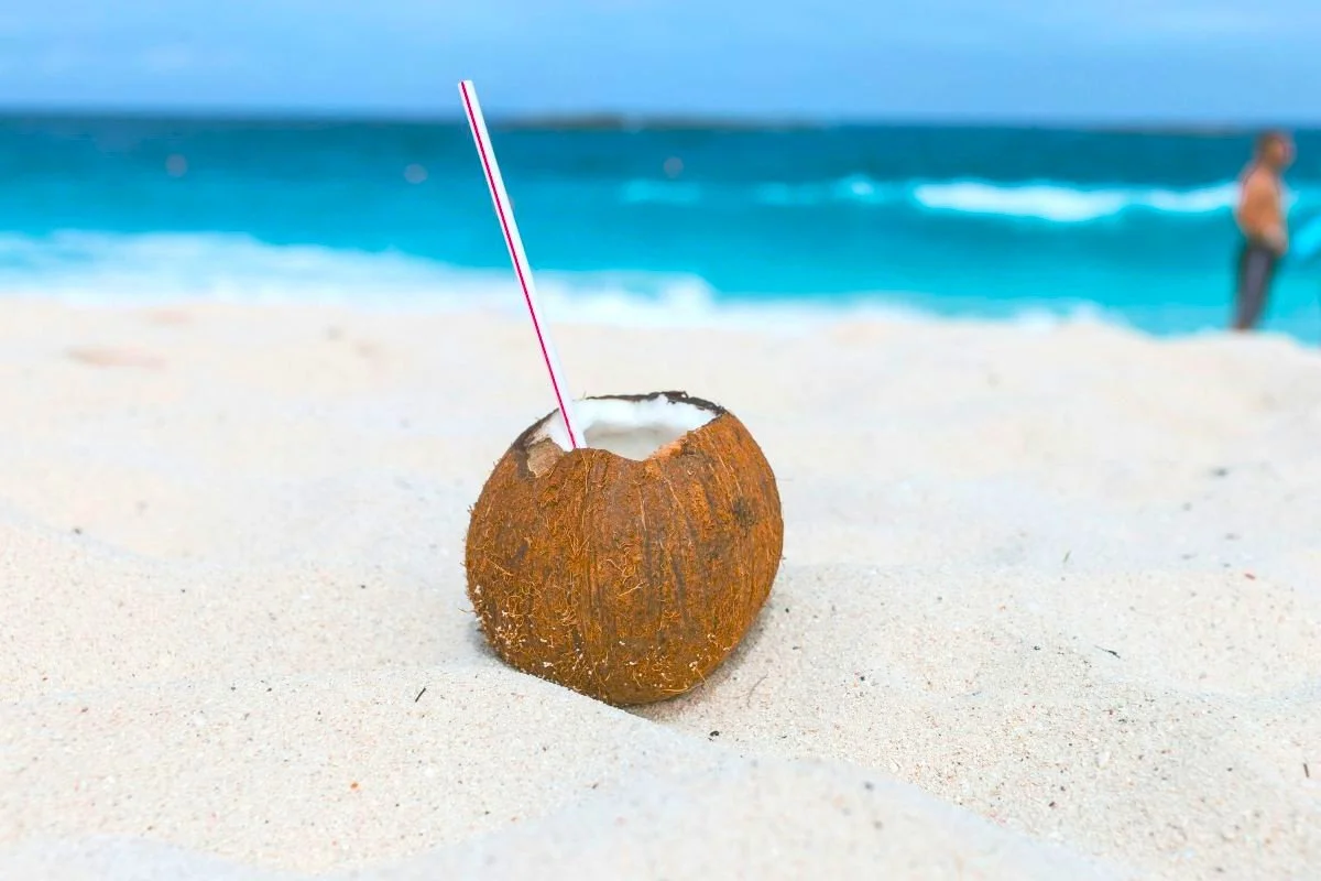 A coconut sitting on beach sand