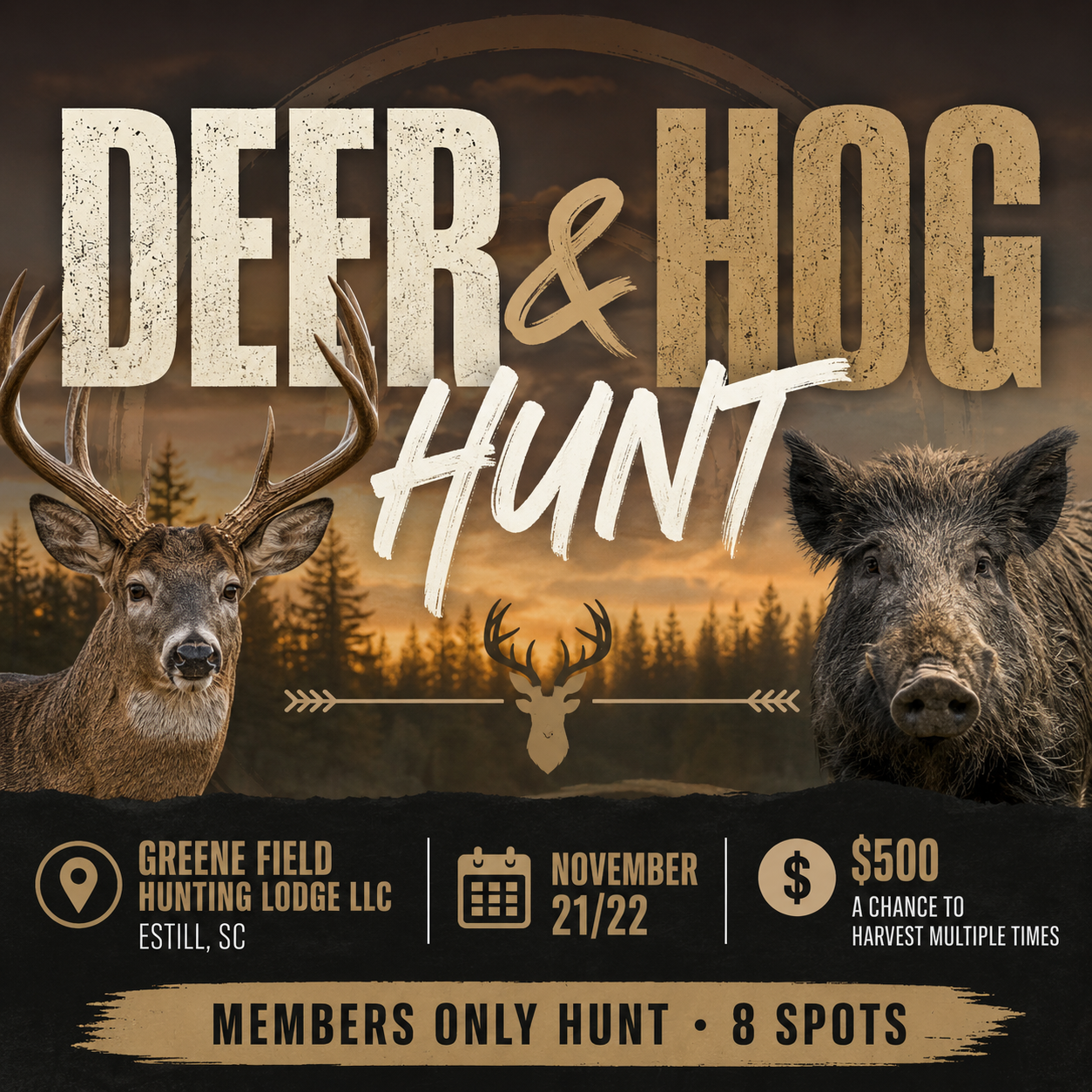 Deer & Hog Combo Hunt ! 