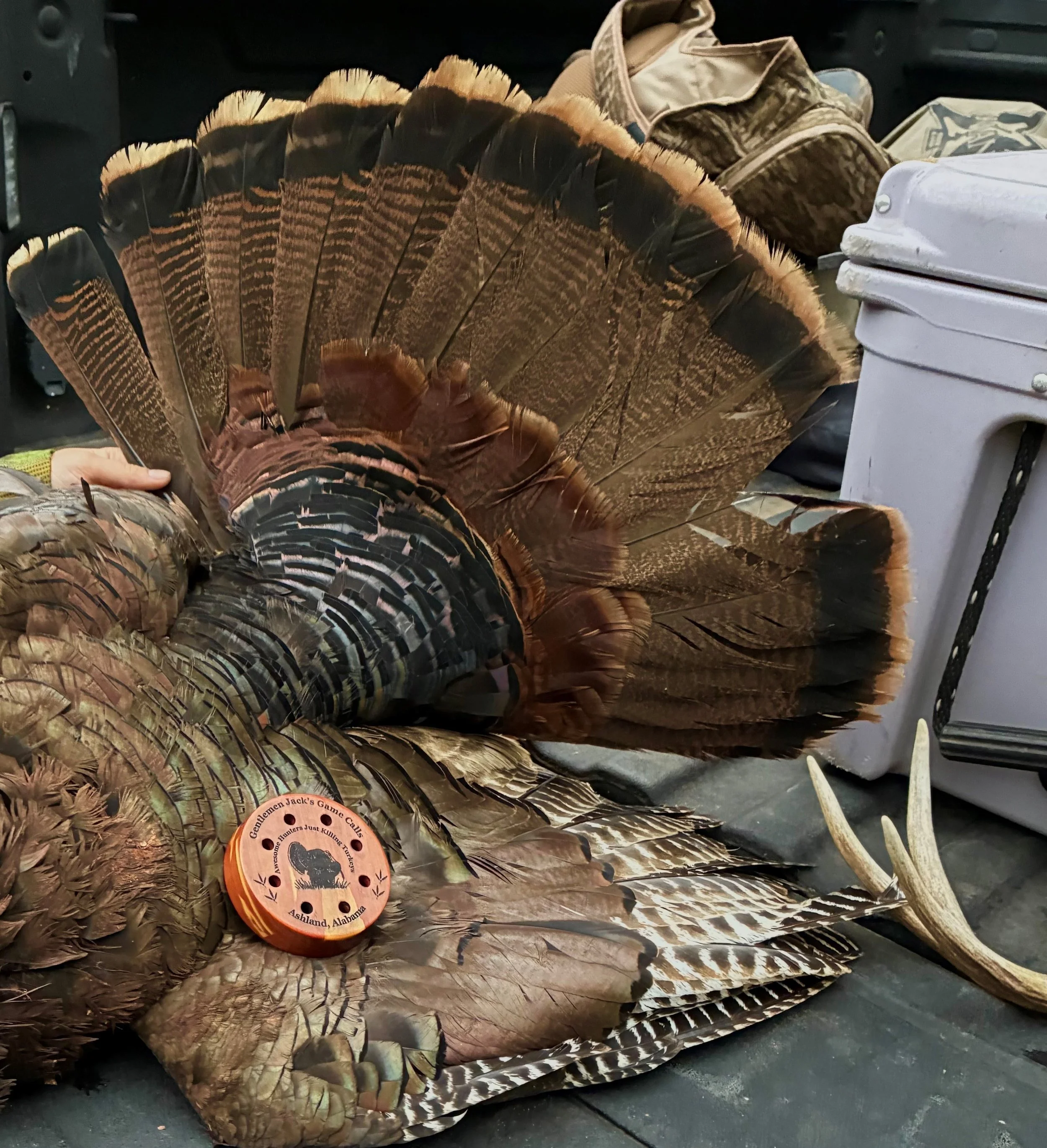 2026 Ladies Turkey Hunt with Tall Tines in the Pines Outfitters