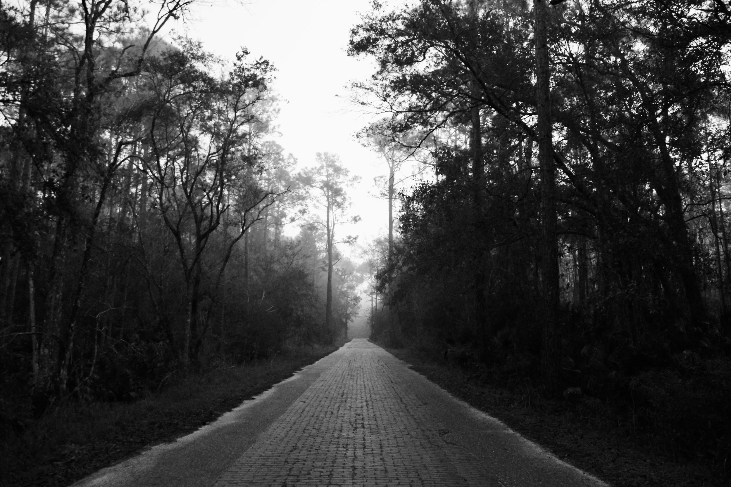 Pershing Highway: The Road That Connected DeLand to the World