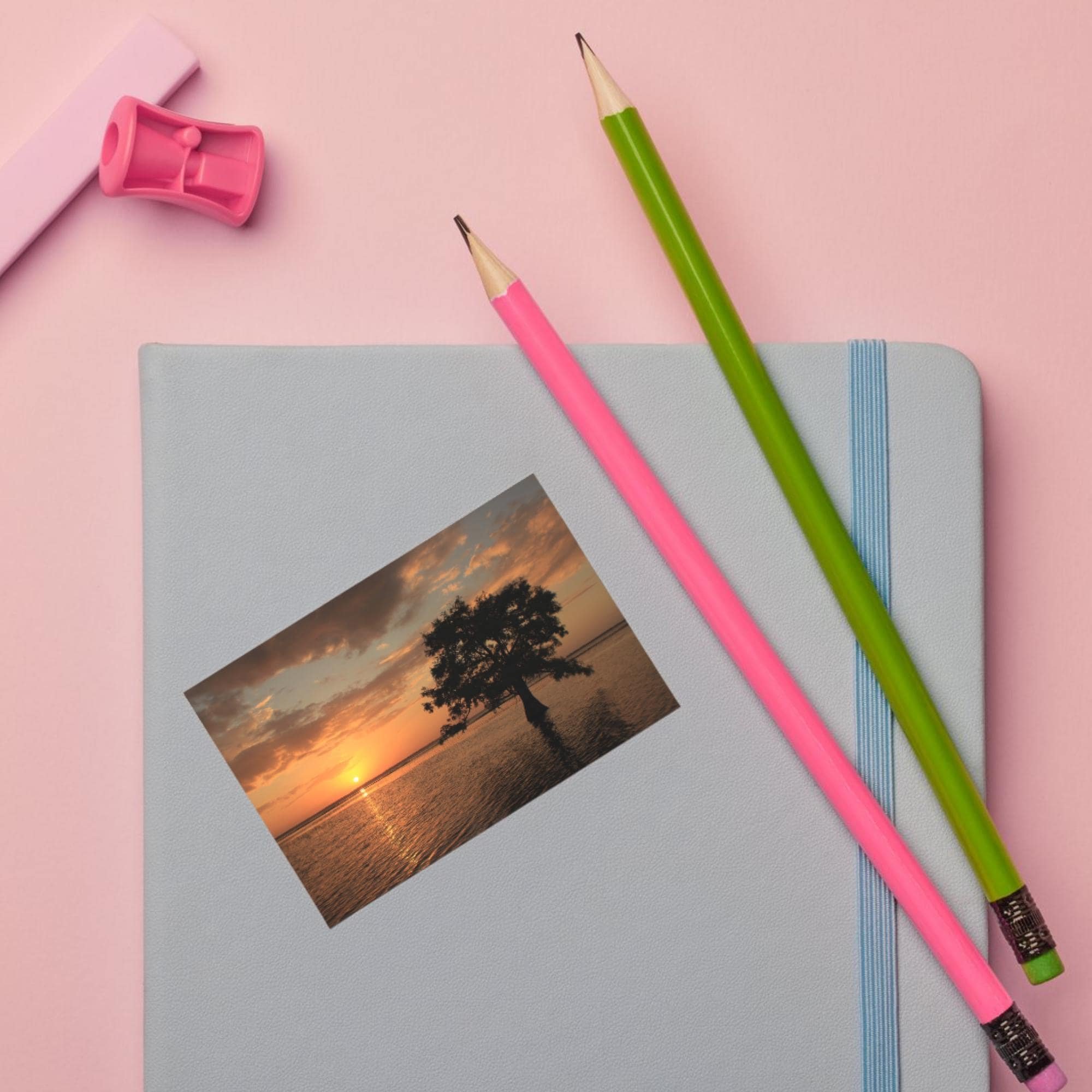 Cypress Sunset Sticker