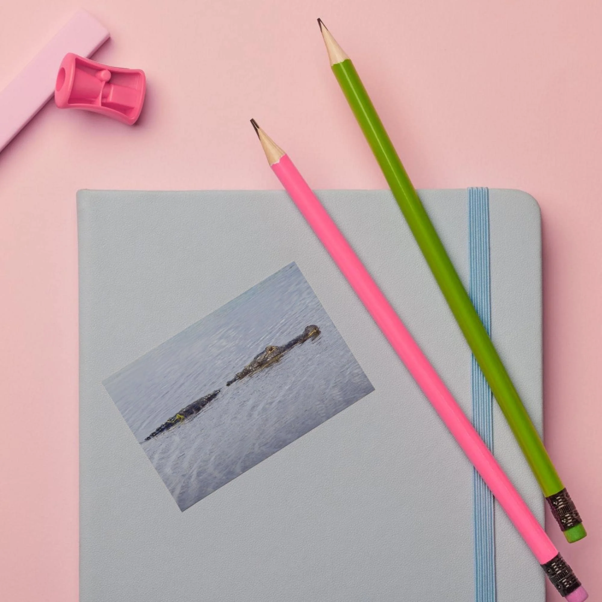 Definitely Not a Log Sticker