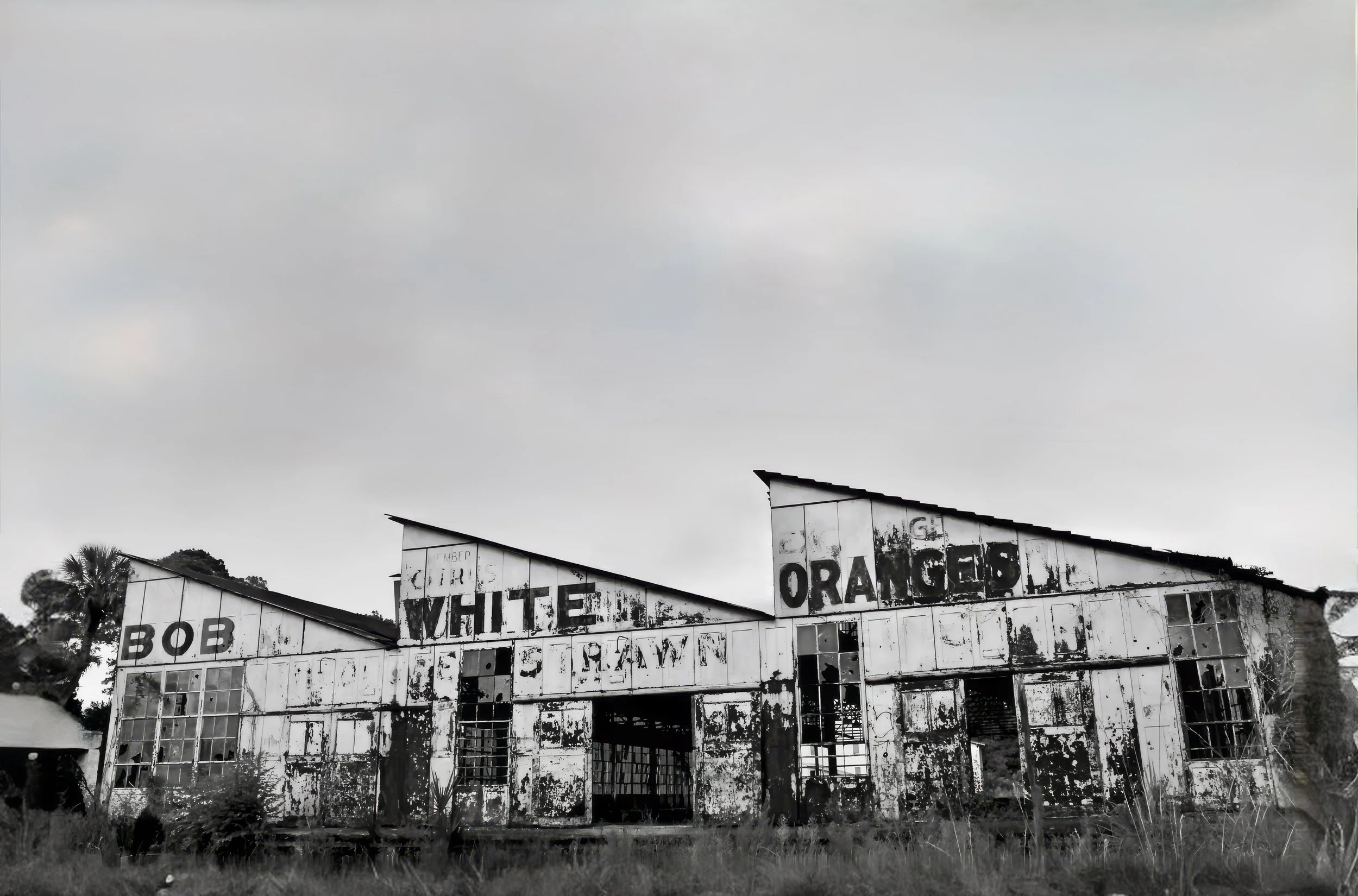 The Legacy of Bob White Oranges: A Forgotten Packing House in DeLeon Springs