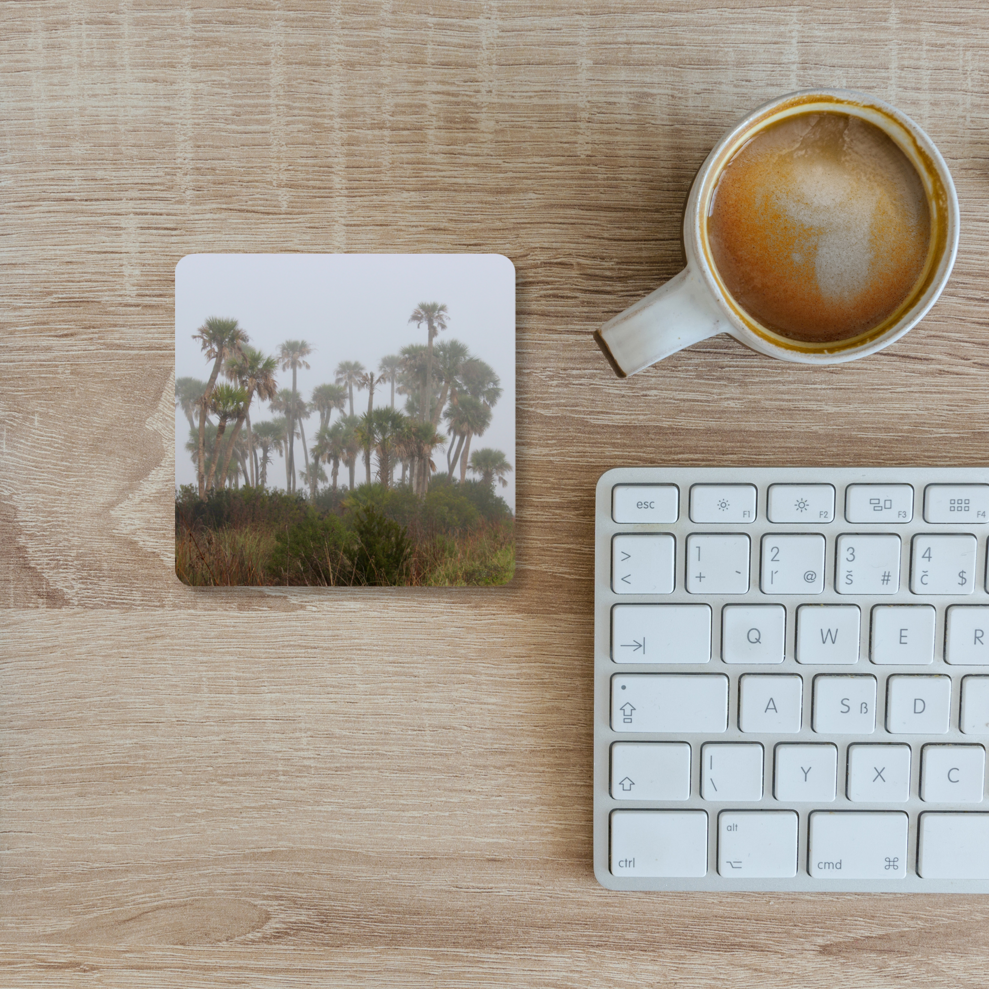 Palms in the Mist Coaster Set of 4
