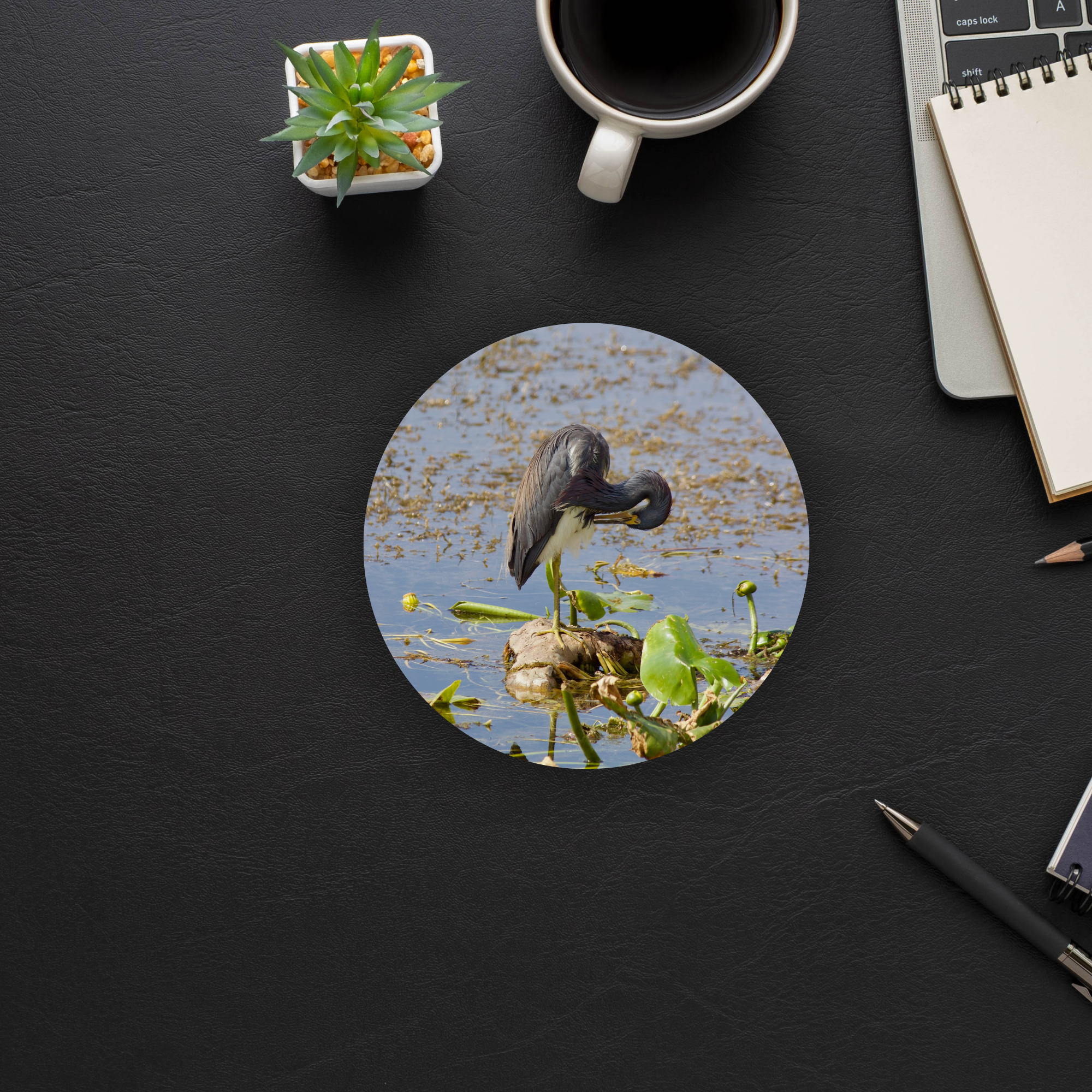 Tricolored Heron Coaster Set of 4