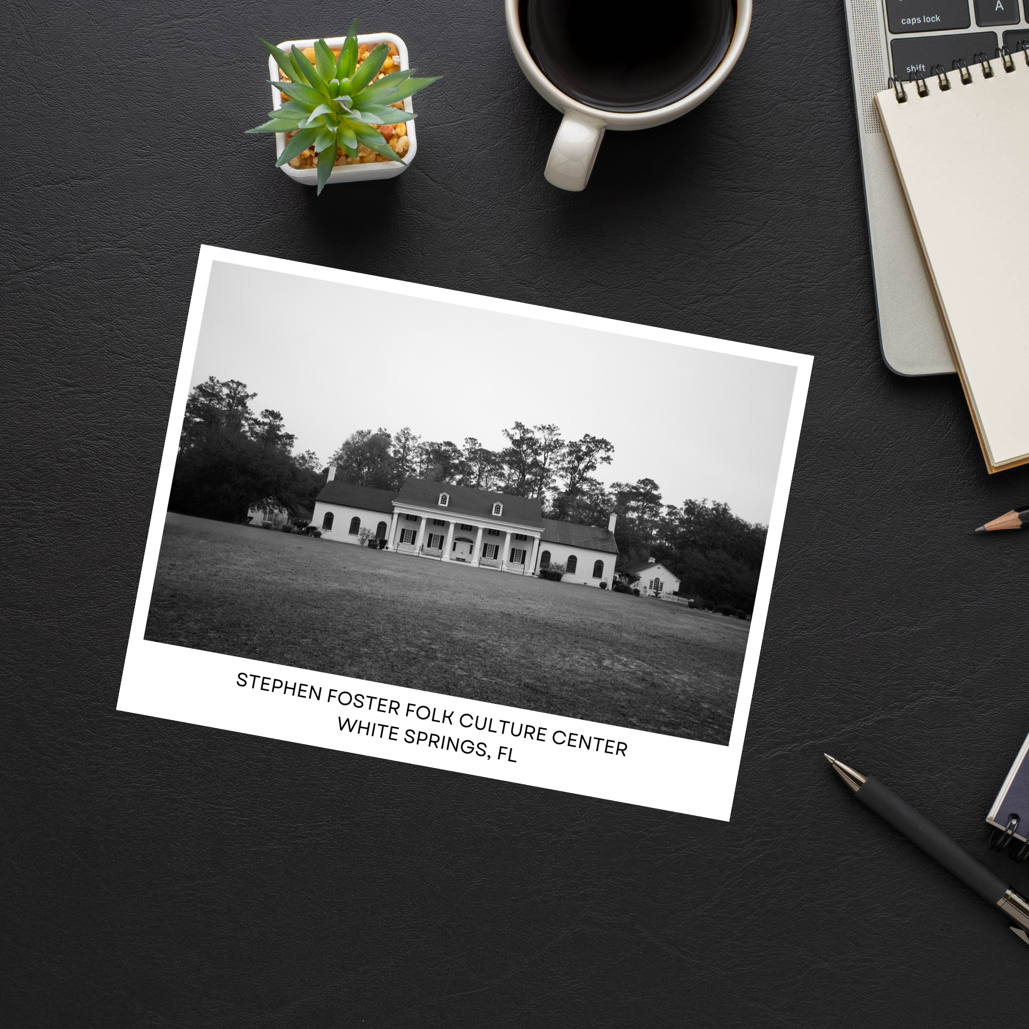 Stephen Foster Folk Culture Center Postcard